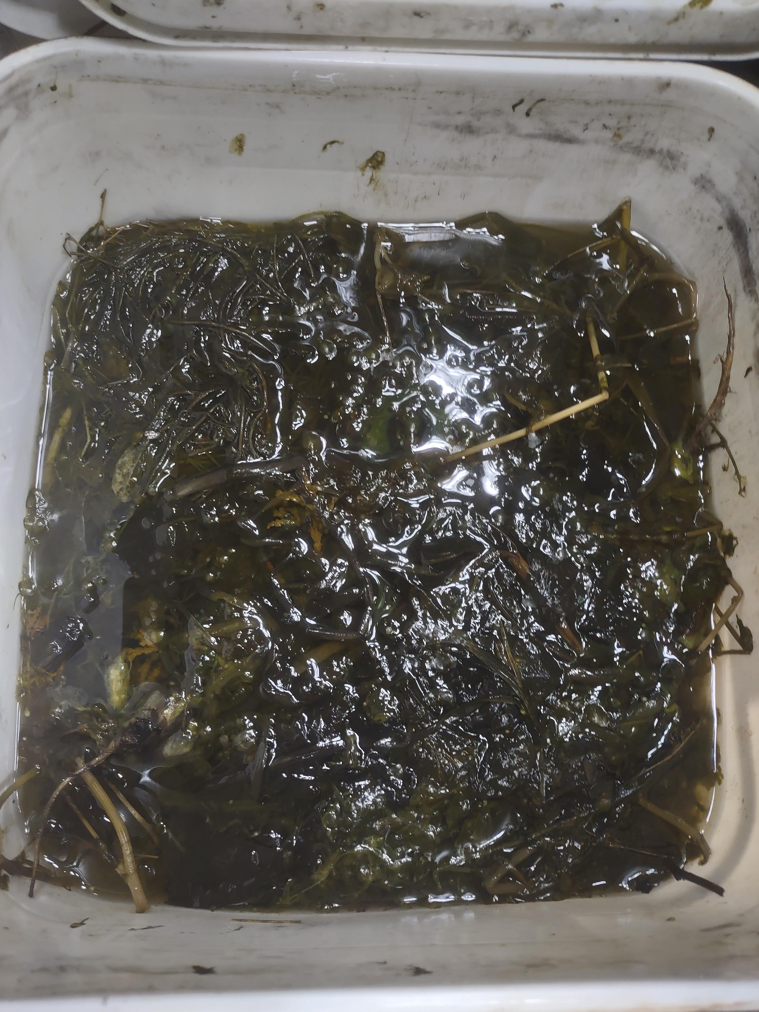 Want your hands to smell like manure for hours? Don't wear gloves when