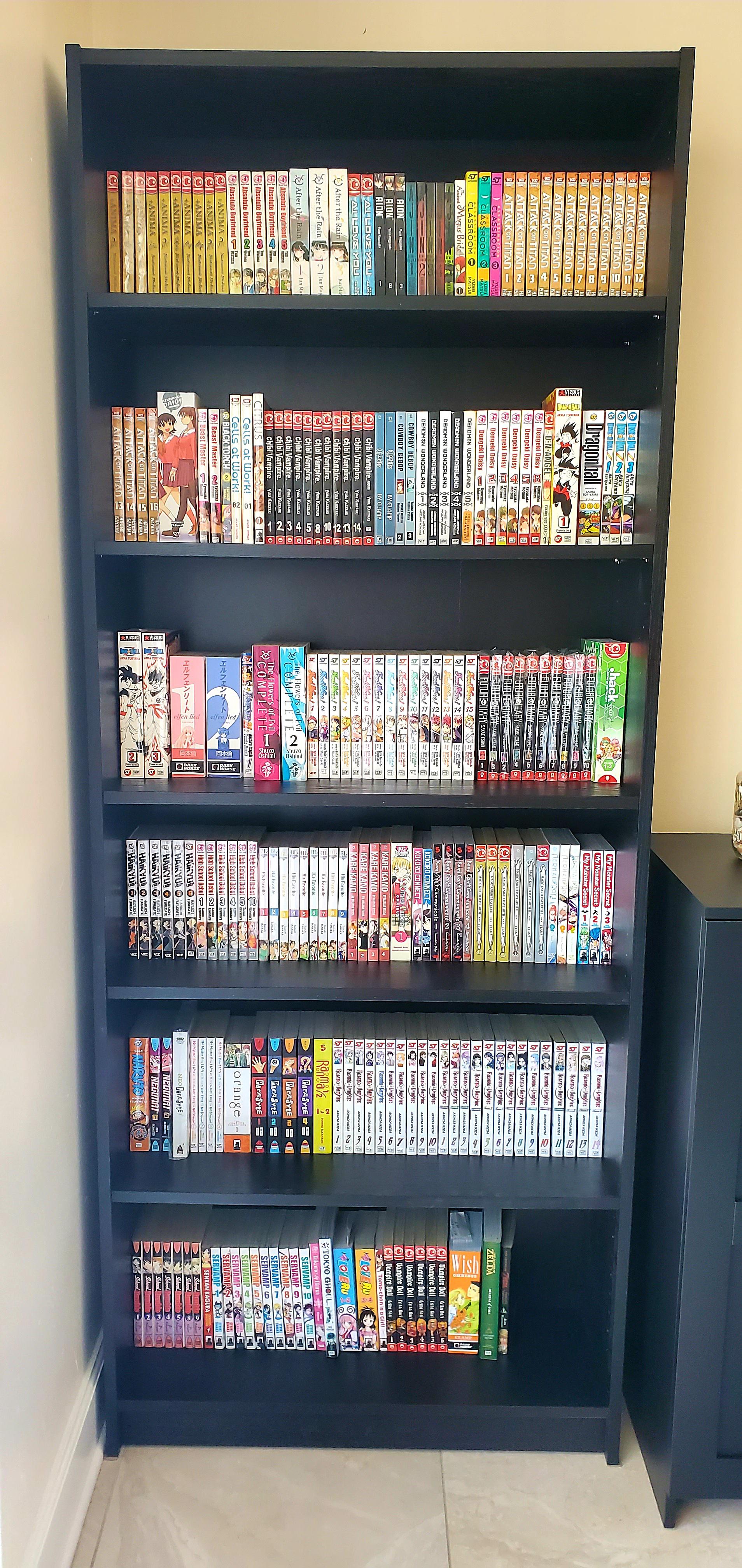 After moving into my first apartment, my babies are settled in nicely