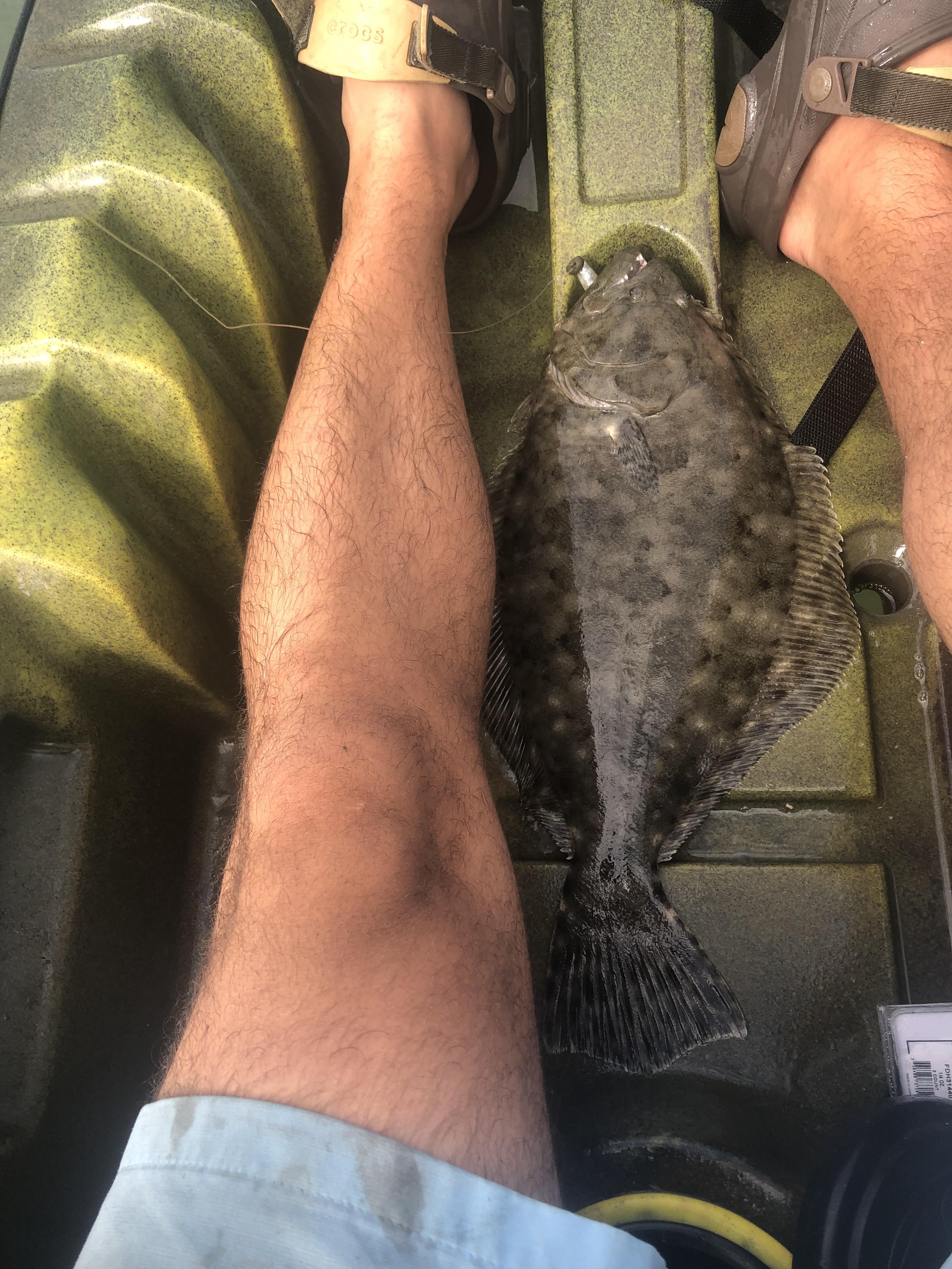 19.6in Flounder Murrells inlet, SC Fishing