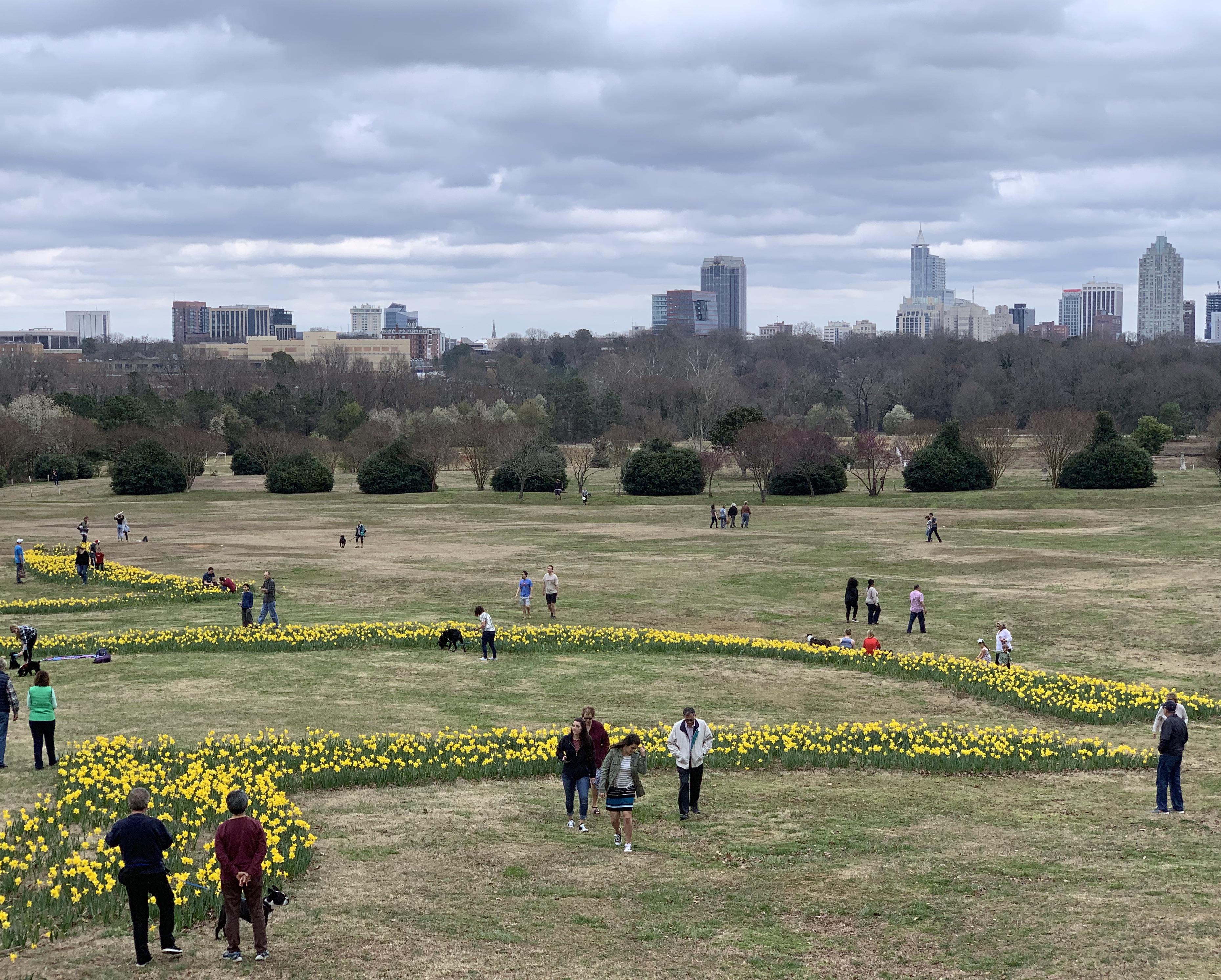 Dorothea Dix Park Today r/raleigh