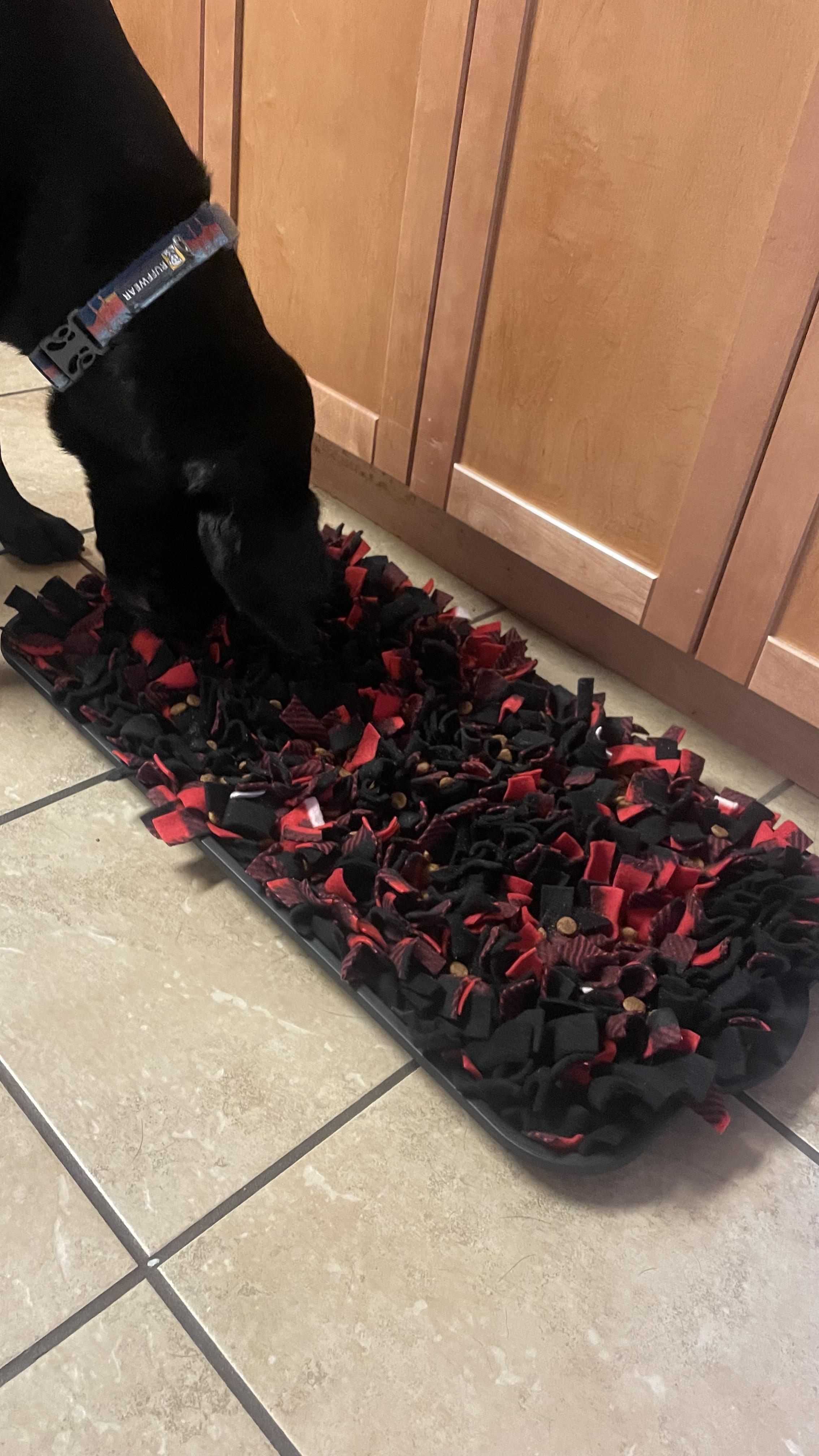 DIY snuffle mat has made for the slowest meals I’ve ever seen! Onyx