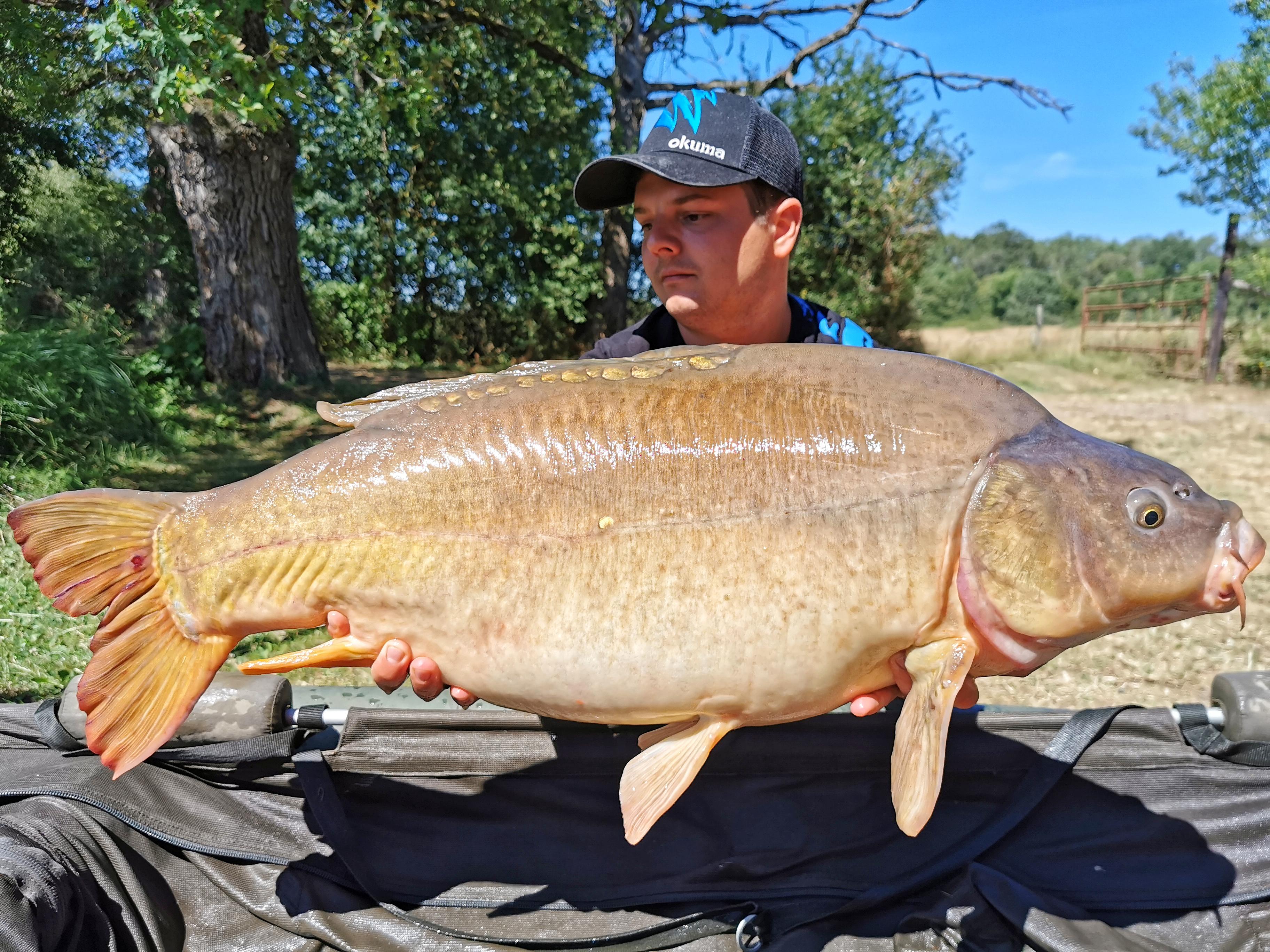 Hello Reddit. This is my most beautiful leather carp ) r/Fishing