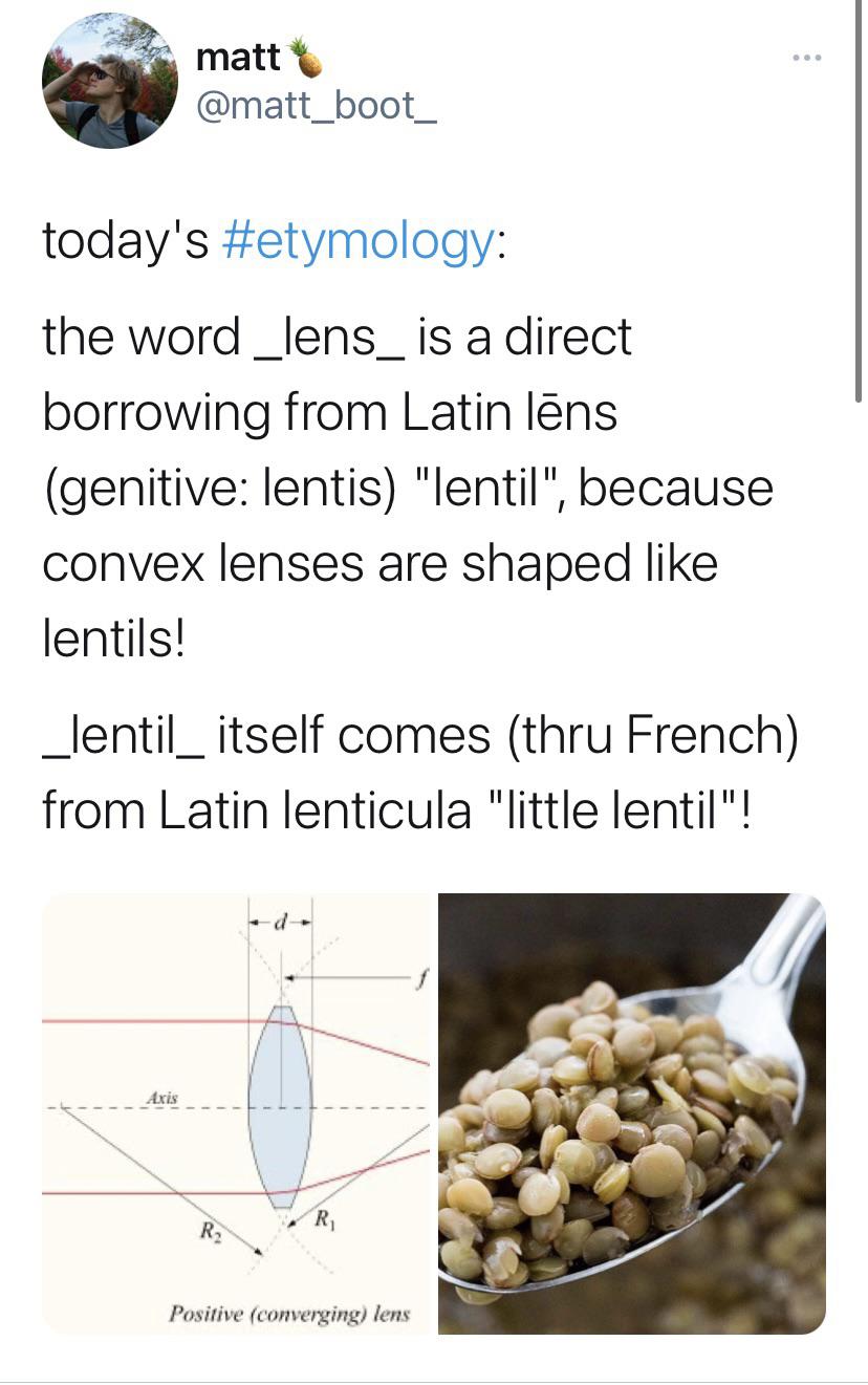 A word with an interesting etymology! r/latin