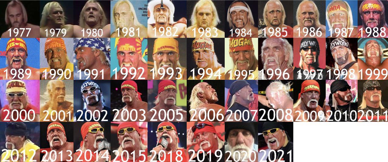 Hulk Hogan 1994