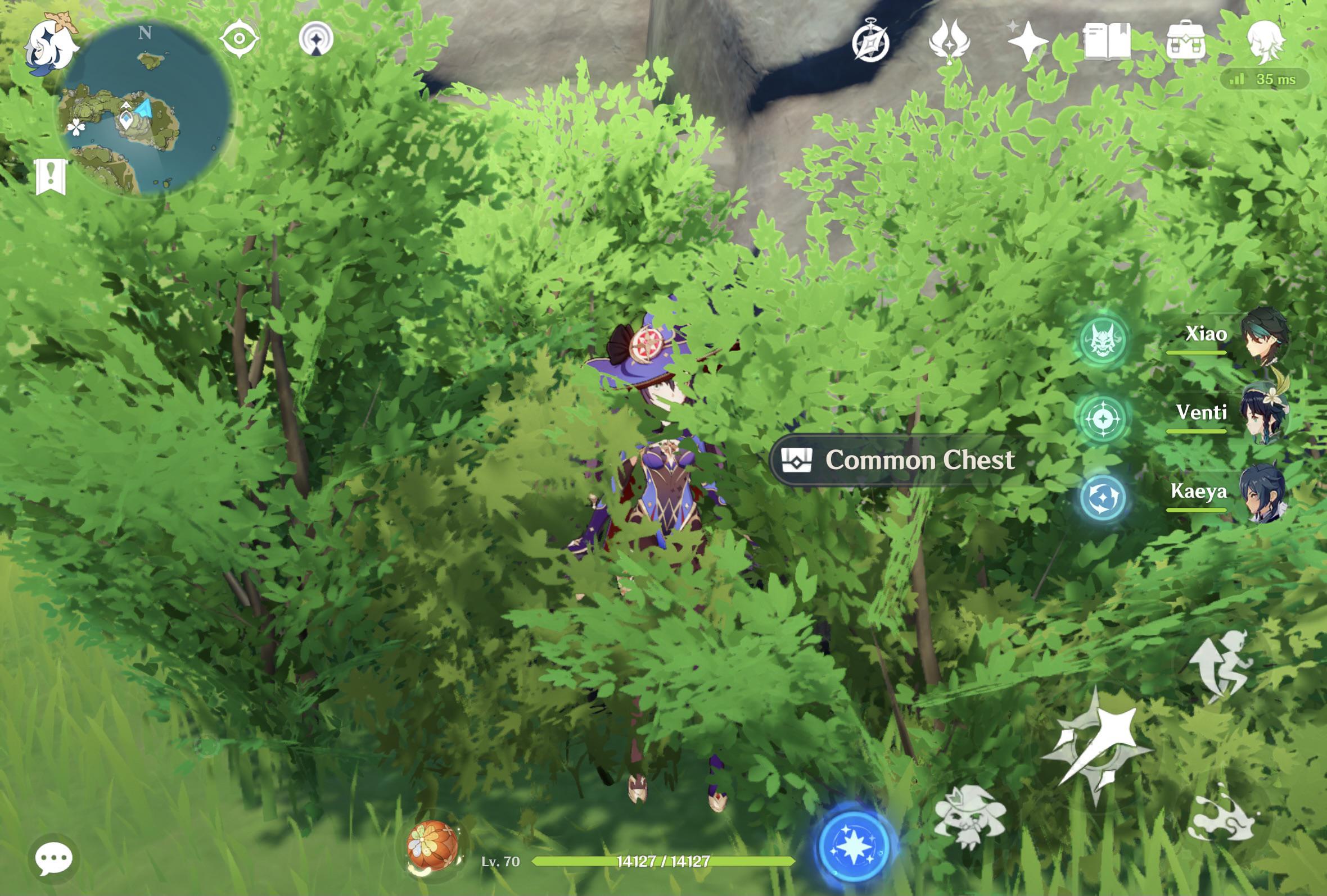 Chest hidden by foliage in archipelago r/Genshin_Impact