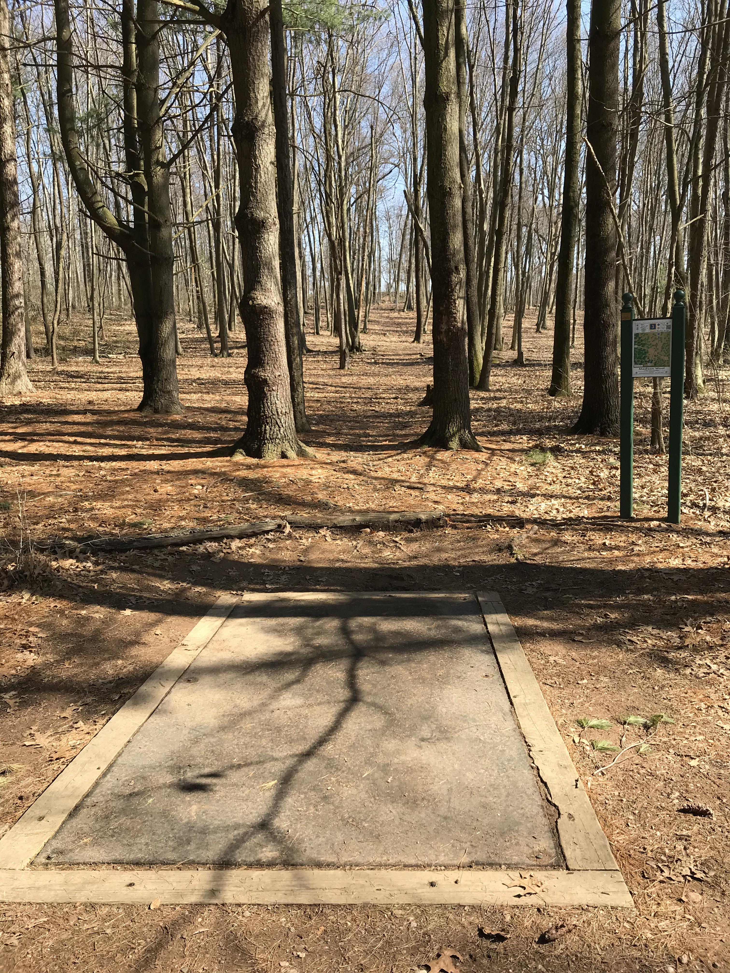 An absolutely perfect day for some disc golf! (Hole 3, Wickham Park