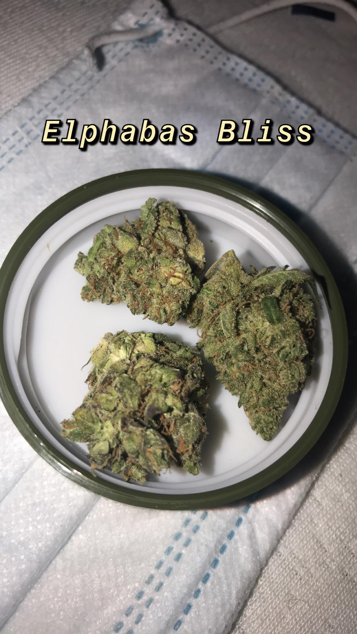 Elphabas Bliss by terrapin great smell with this one 🔥👃 r