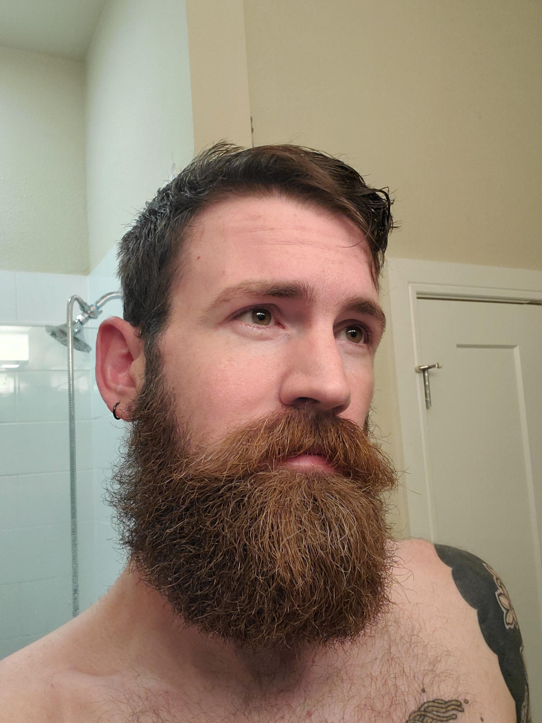 Beard is coming in thick r/beards