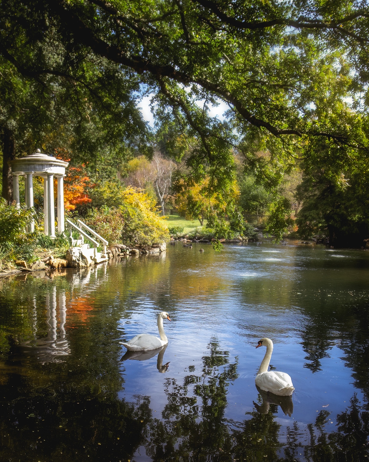 Taken at the Morris Arboretum in Chestnut Hill r/philadelphia