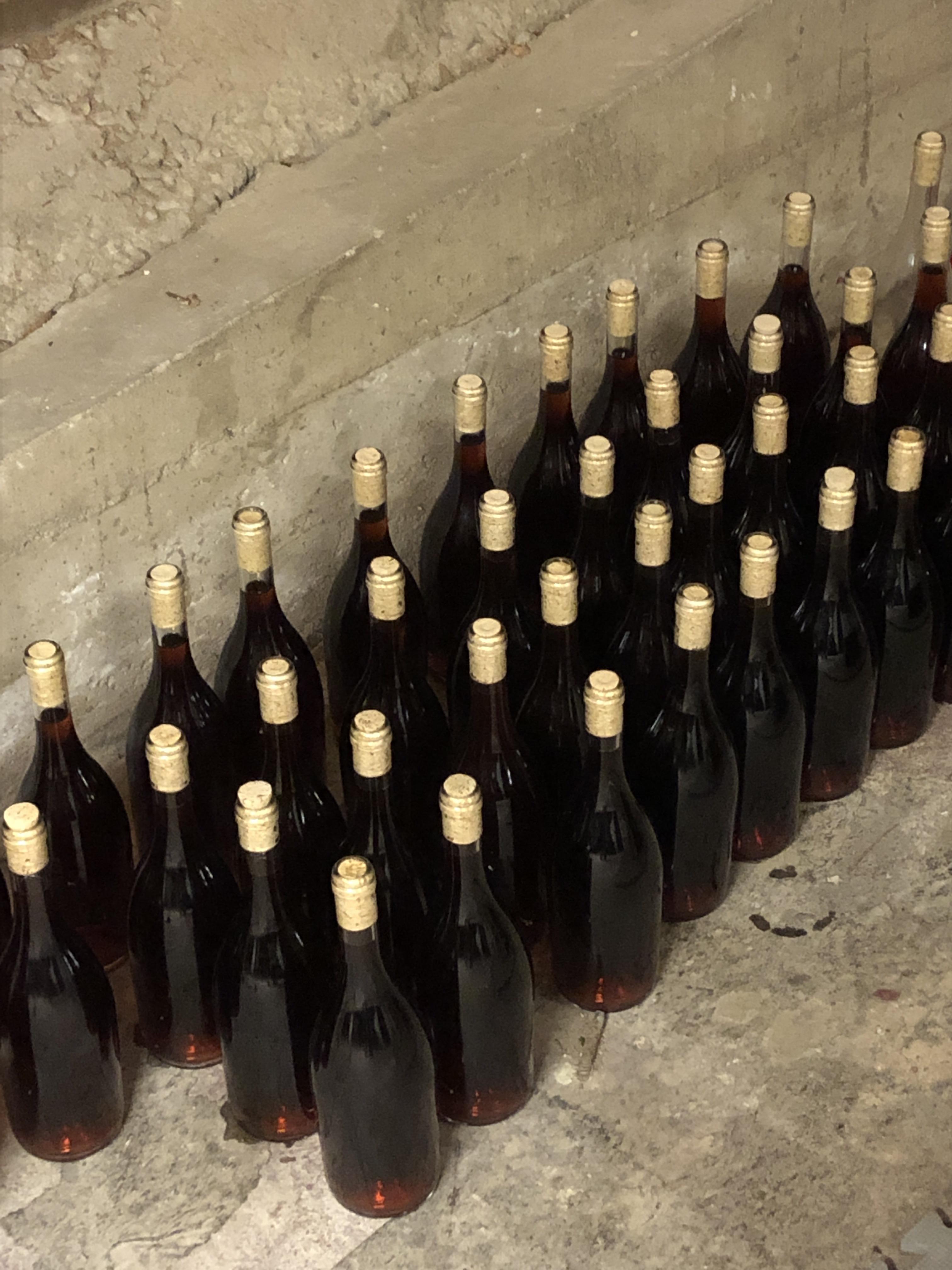 First time wine making California Grenache 48 bottles from 100+ lbs of