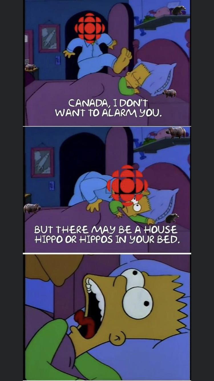 House hippos, house hippos ! (Btw, they made a sequel to this ad a few years ago) r