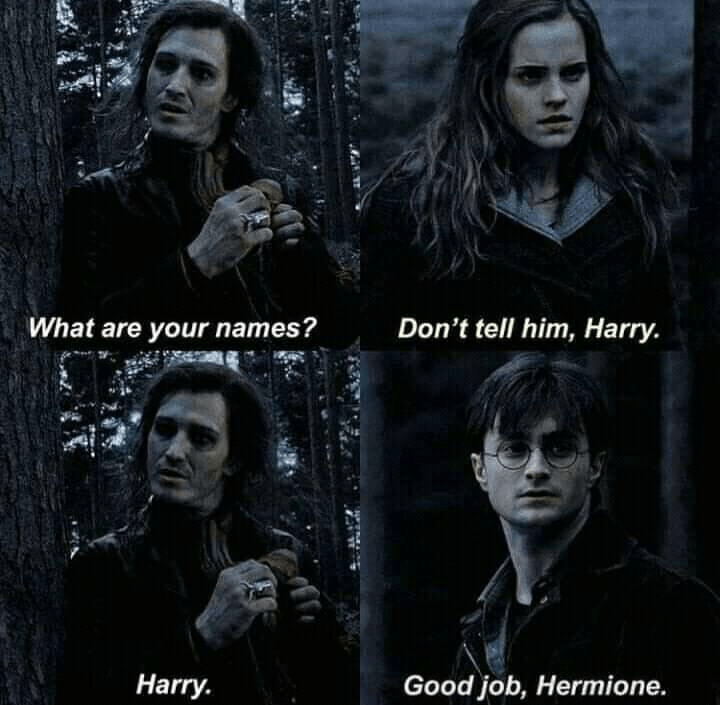 Good Job, Hermoine r/harrypotter