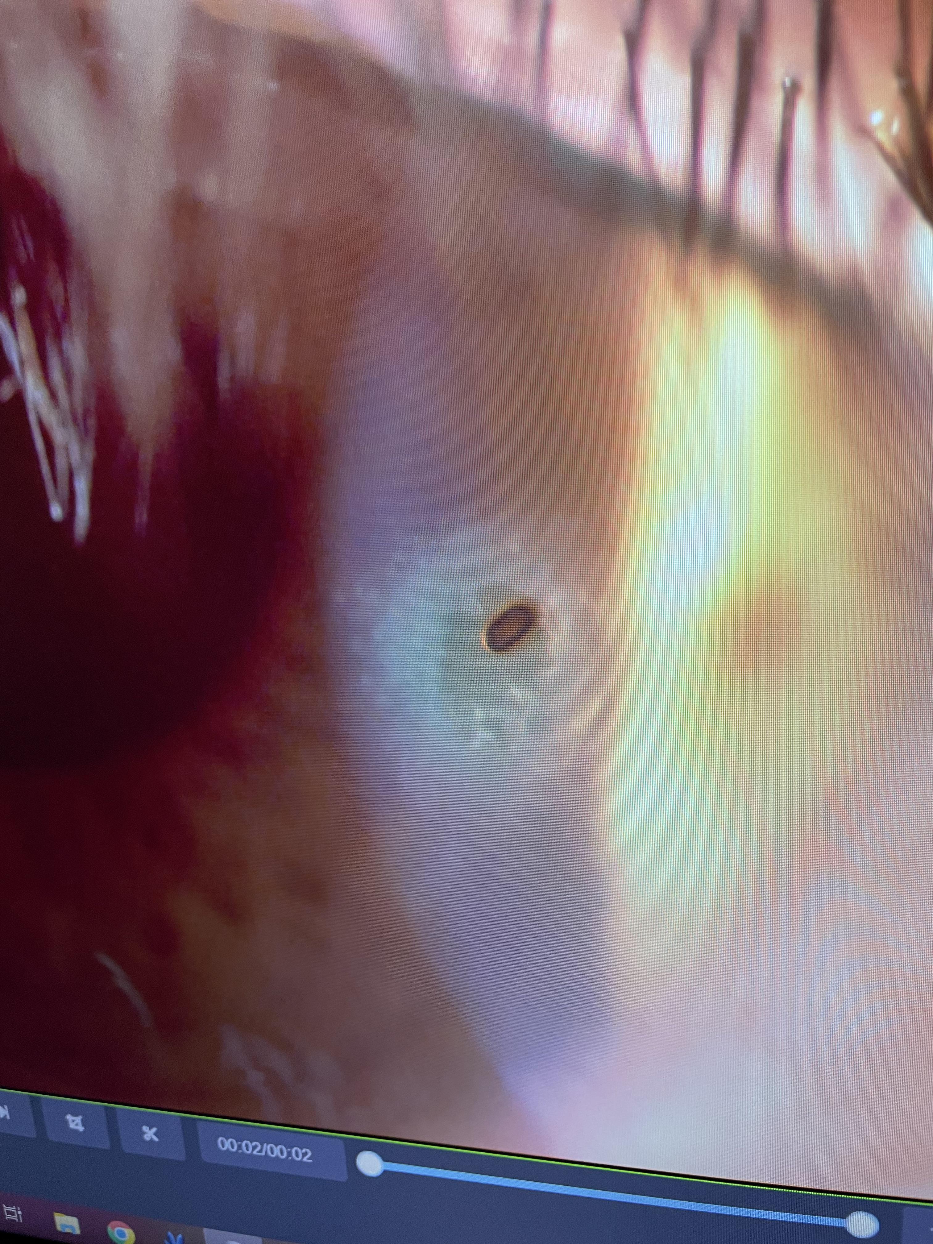 PSA to wear your eye protection. Here’s a piece of slag that started to