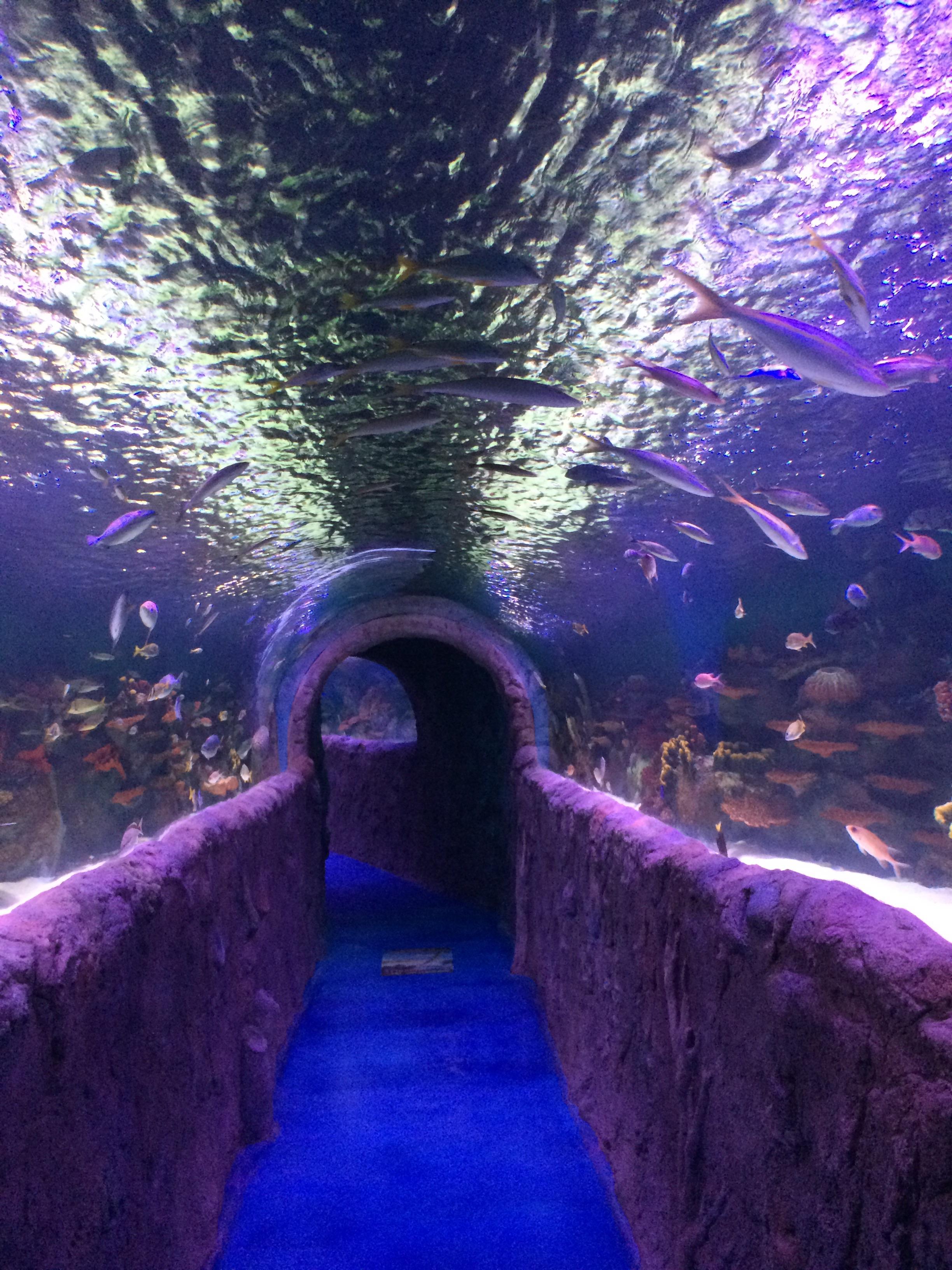 rotterdam mall Reddit post and comment search SocialGrep