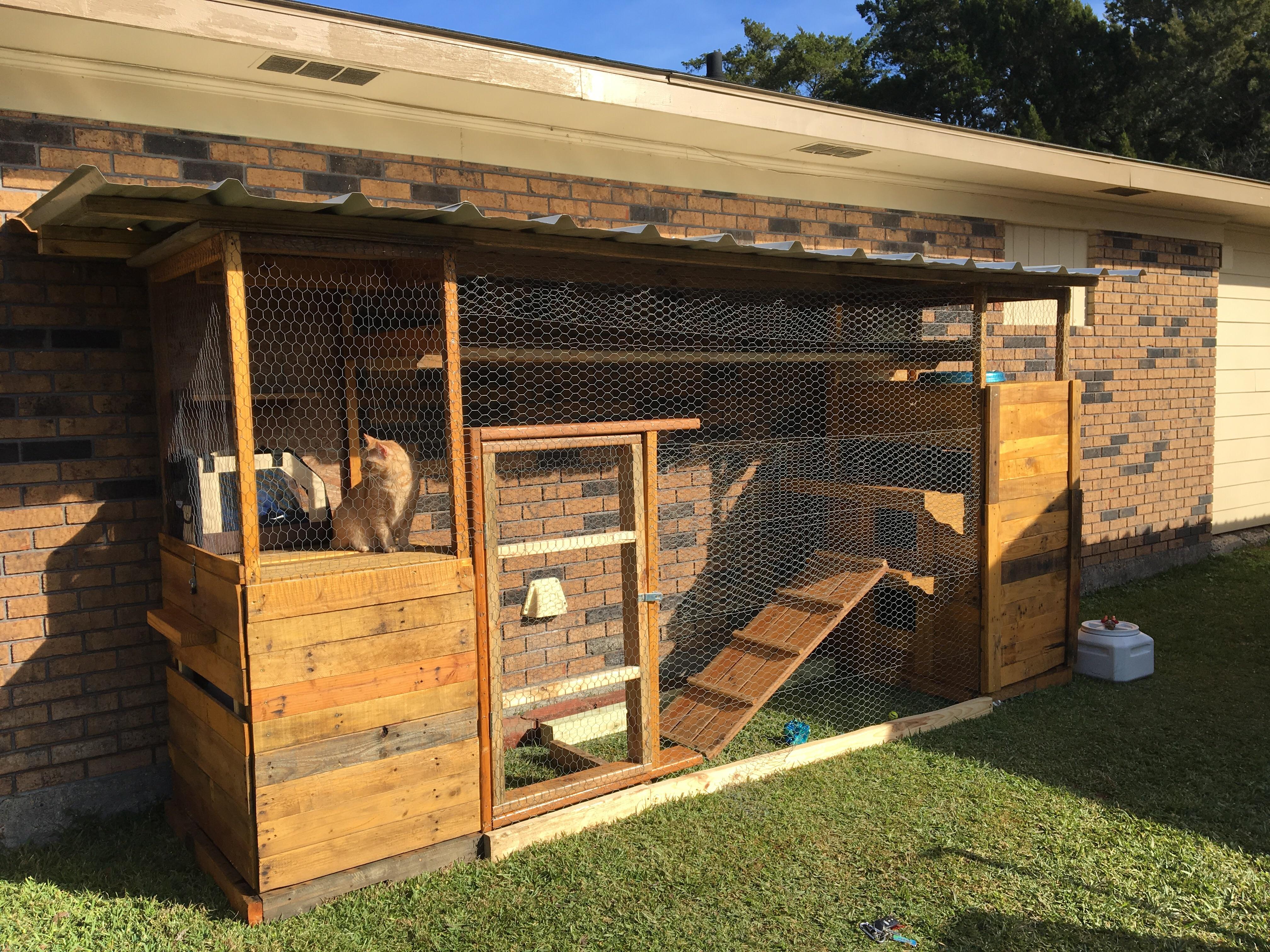 I built an outdoor cat cage for my adventurous indoor kitties! Merry