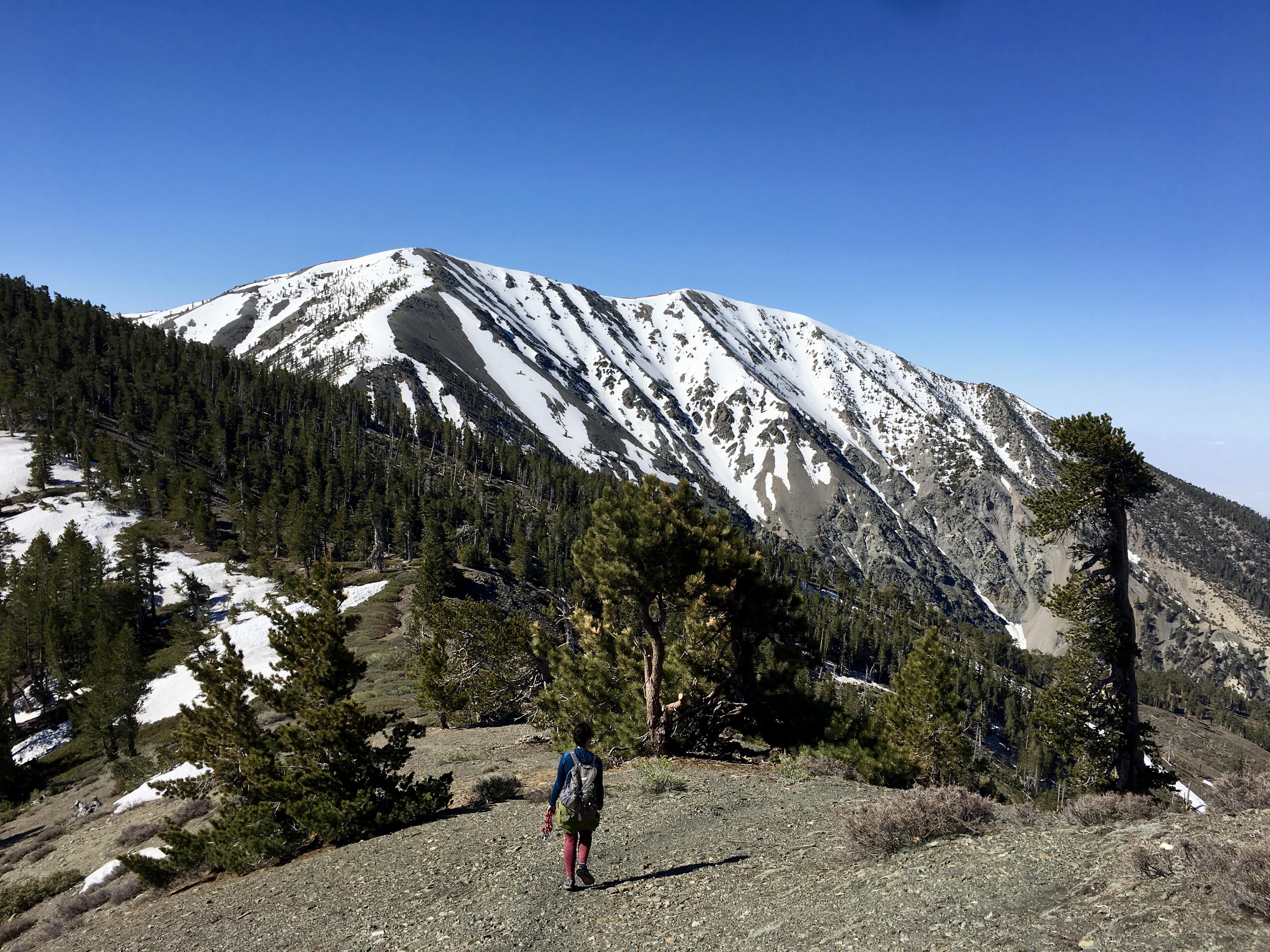 Baldy North Backbone Trail Fantastic Conditions on June 4th