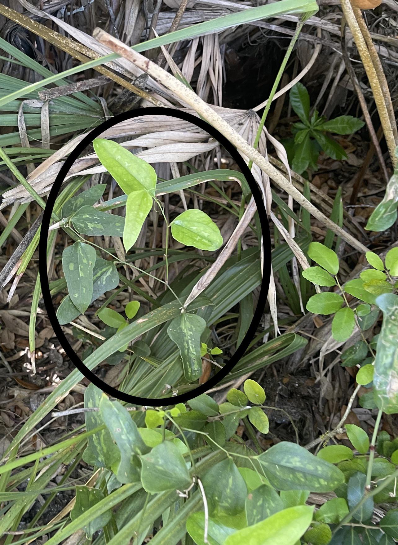 Posts by u/PhilODendron ・ popular.pics ・ Viewer for Reddit