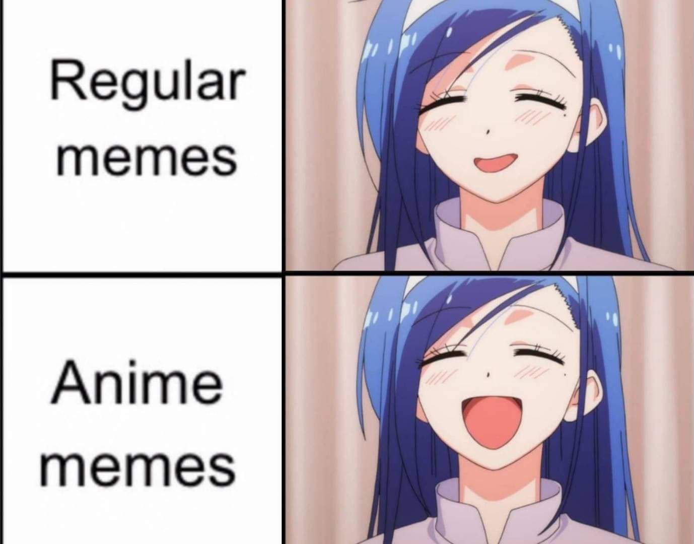 Weeb meme r/Animemes