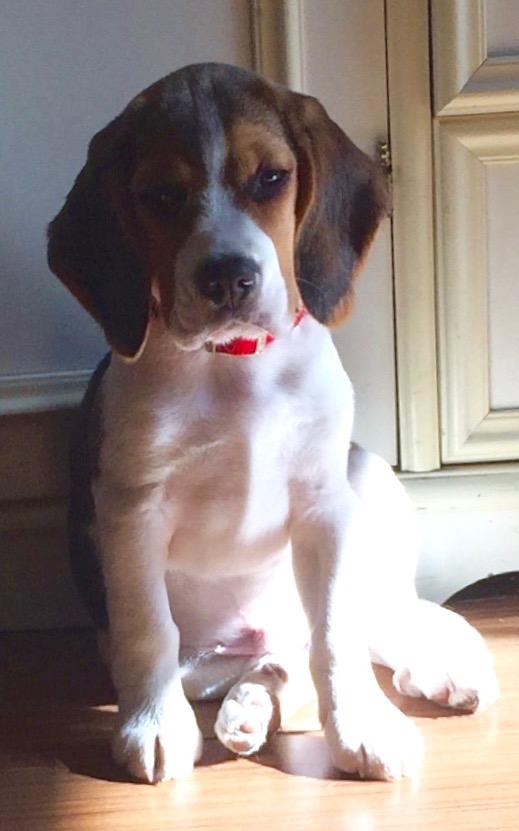 I was crying a lot, until my dad embraced me. home, Hug ) r