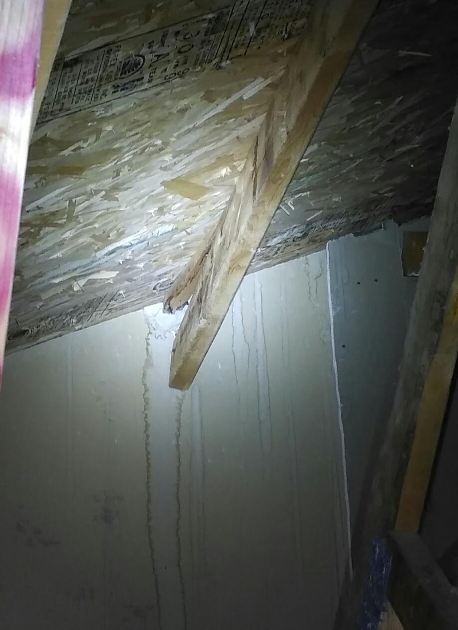 How expensive would this be to fix? : r/Roofing