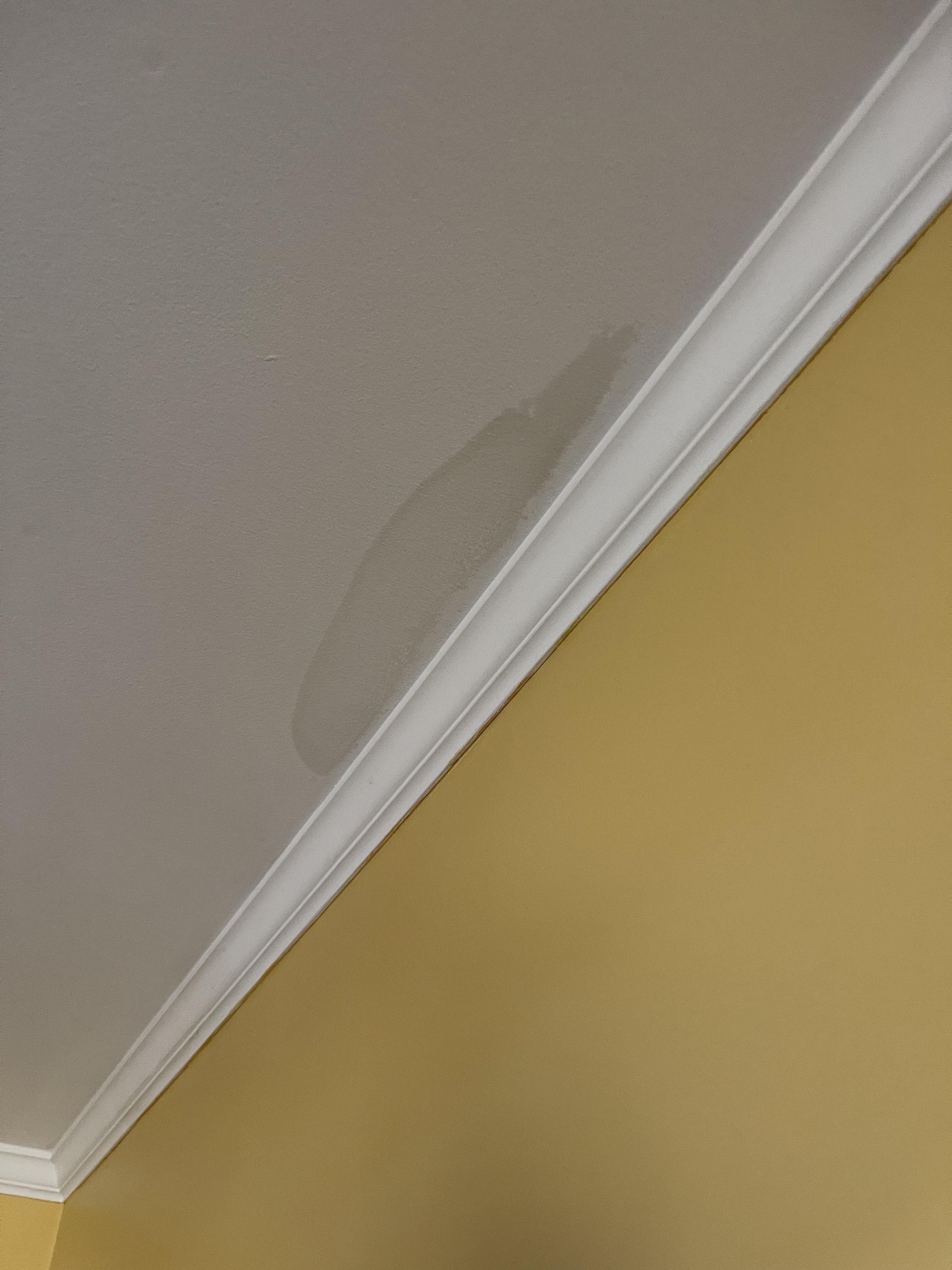 Moms house showing sign of drywall being wet but no leak from anything