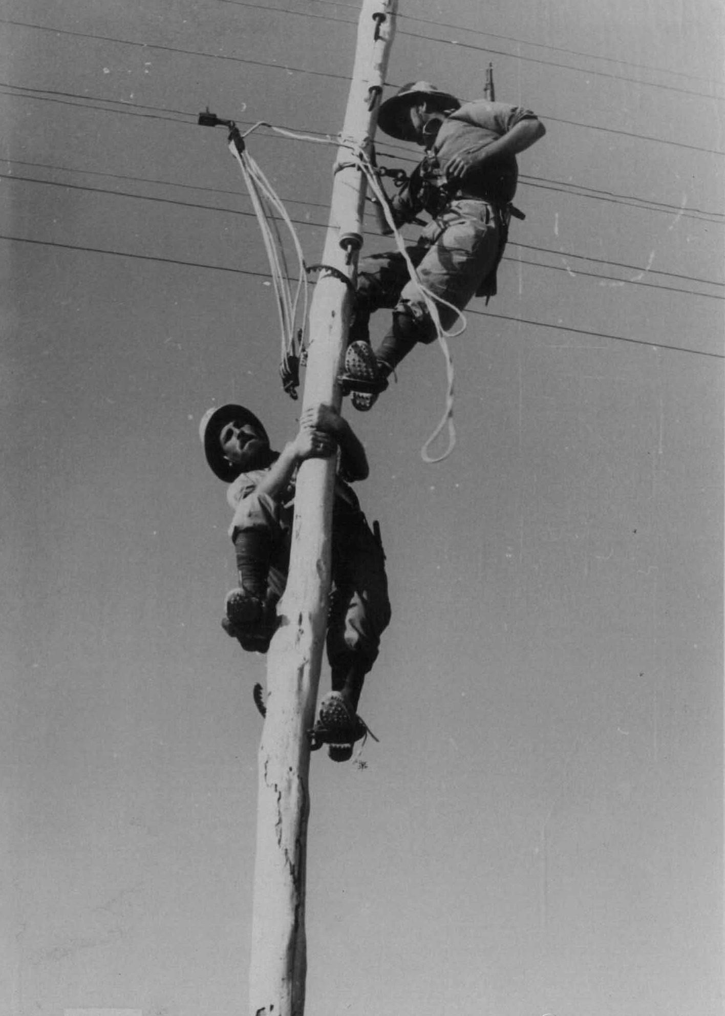 Two Italian engineers working on a telegraph pole in North Africa, 1940. [1416 x 1984] r/wwiipics