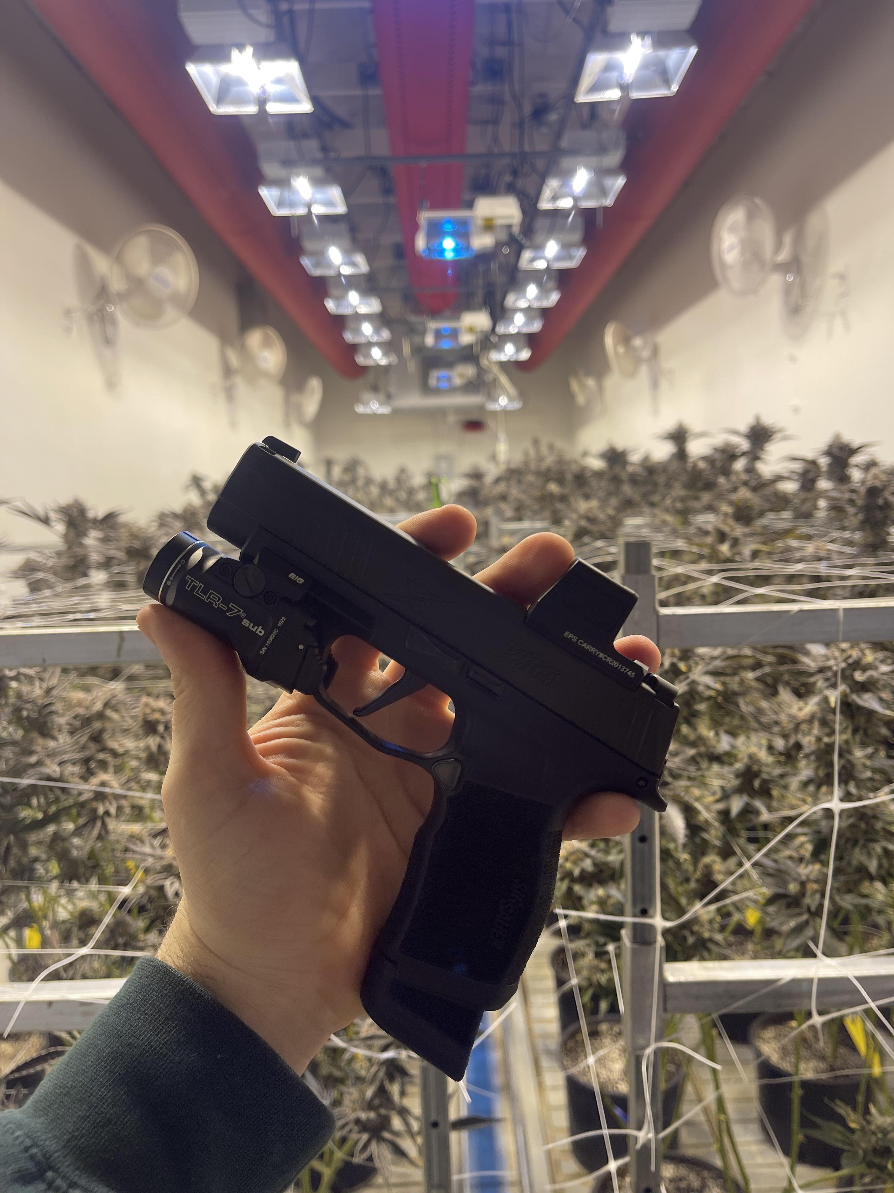 New P420 : r/SigSauer