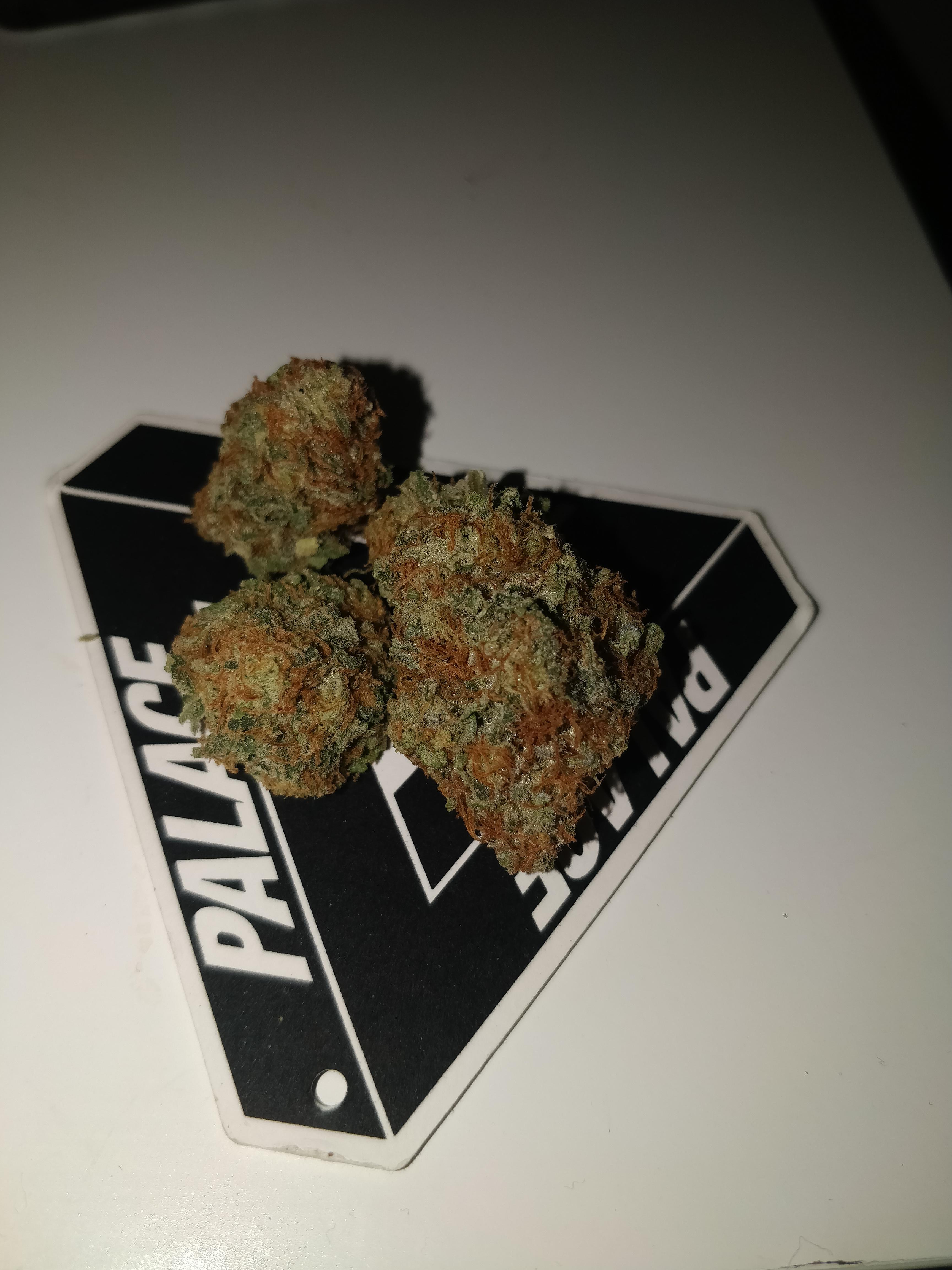 London Pound Cake X Kush Mints r/uktrees