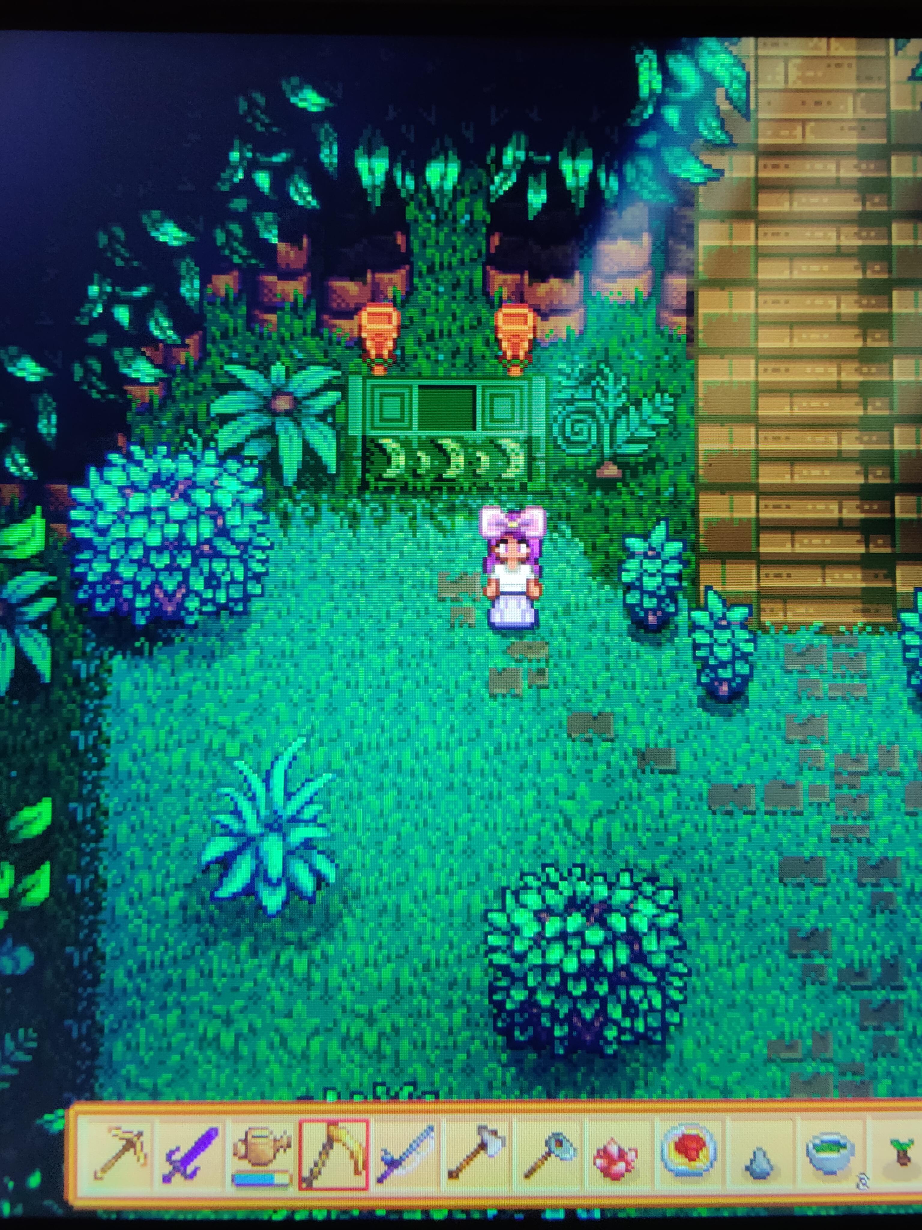 Do I have to put something here? This is on Ginger Island outside of