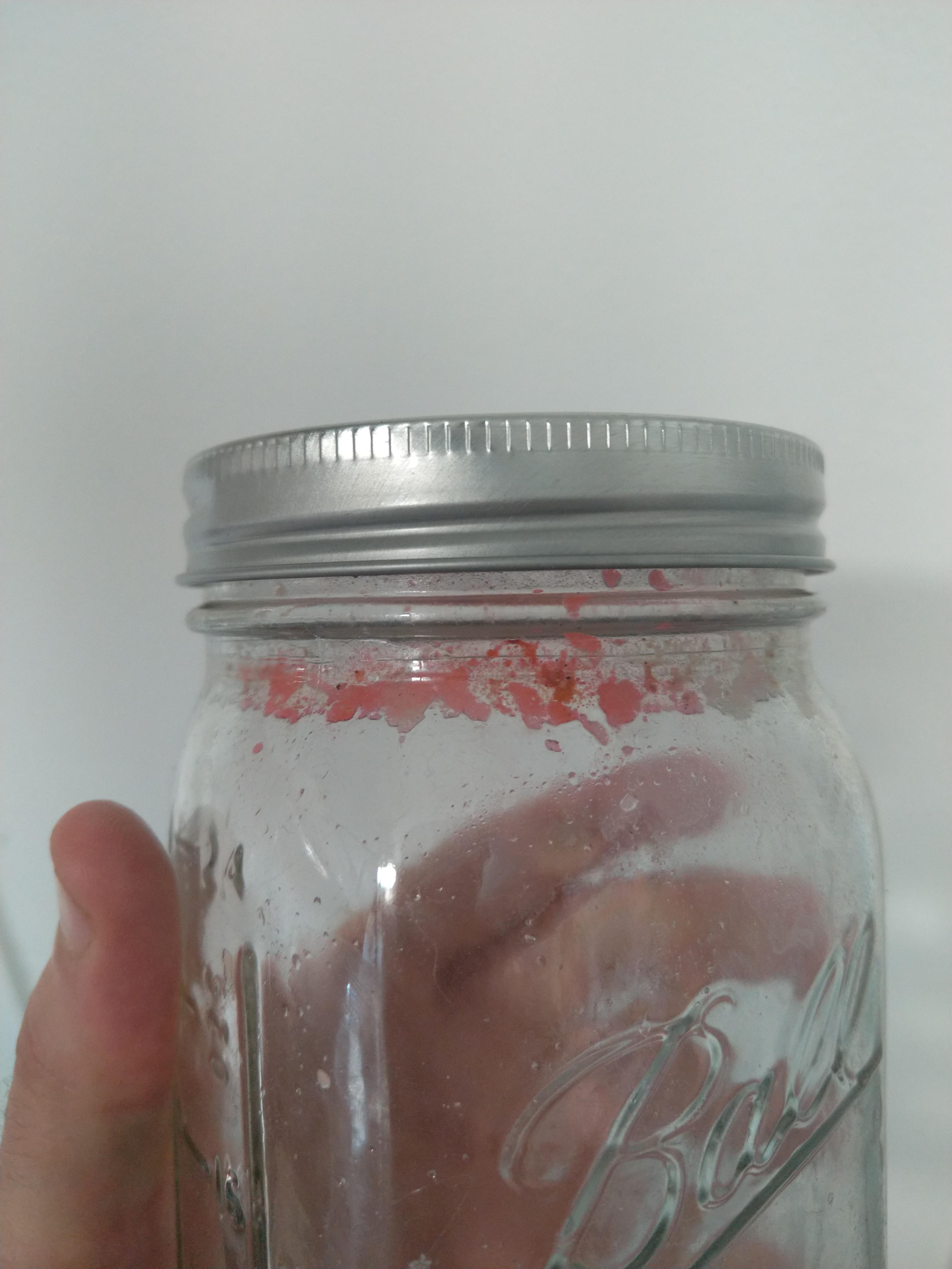 Bright pink/magenta bacteria or mold that grows on surfaces touched by