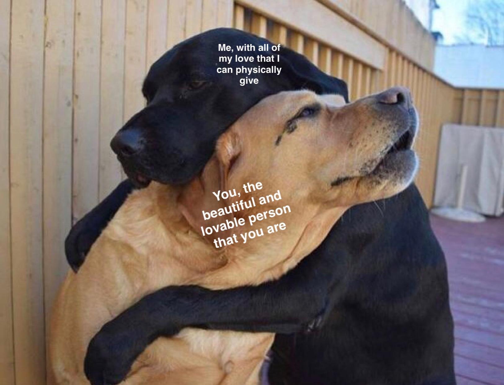 We all need a hug. r/wholesomememes