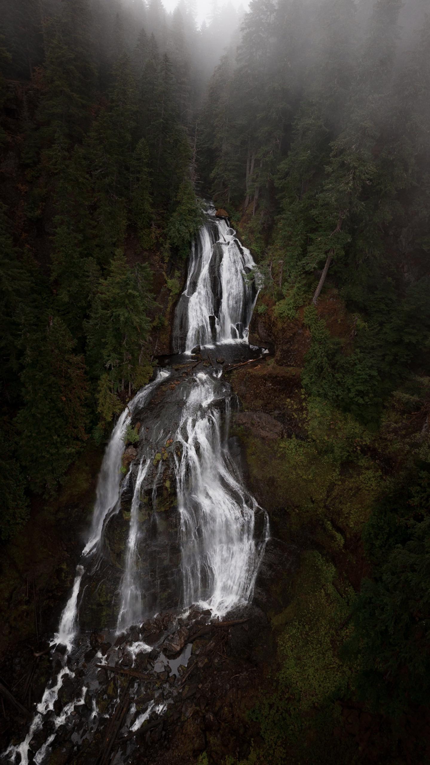 High above a waterfall in the Gifford Pinchot National Forest, WA. [OC