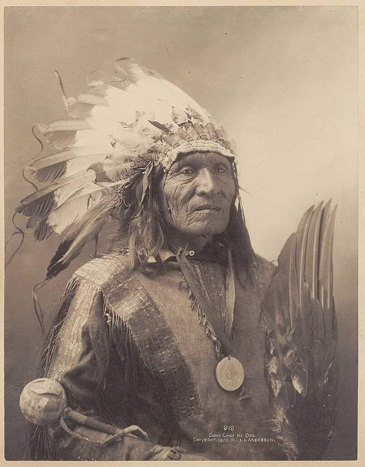 Chief He Dog, of the Oglala Lakota, (1900) Photograph taken by J.A