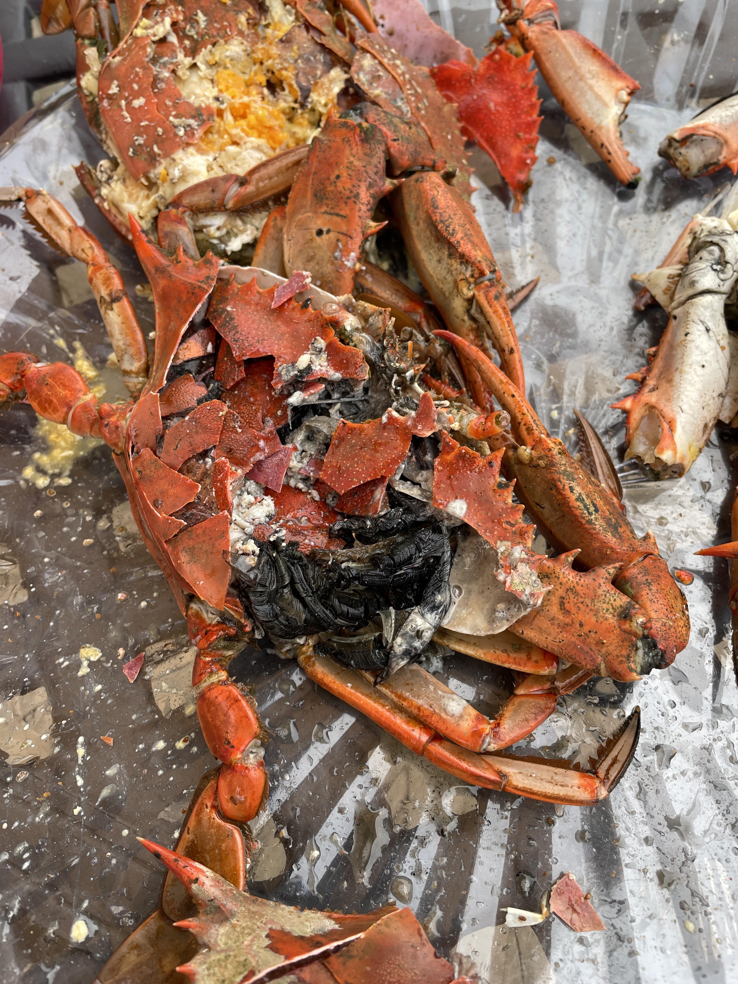 How To Make Your Own Crab Snare crabbing