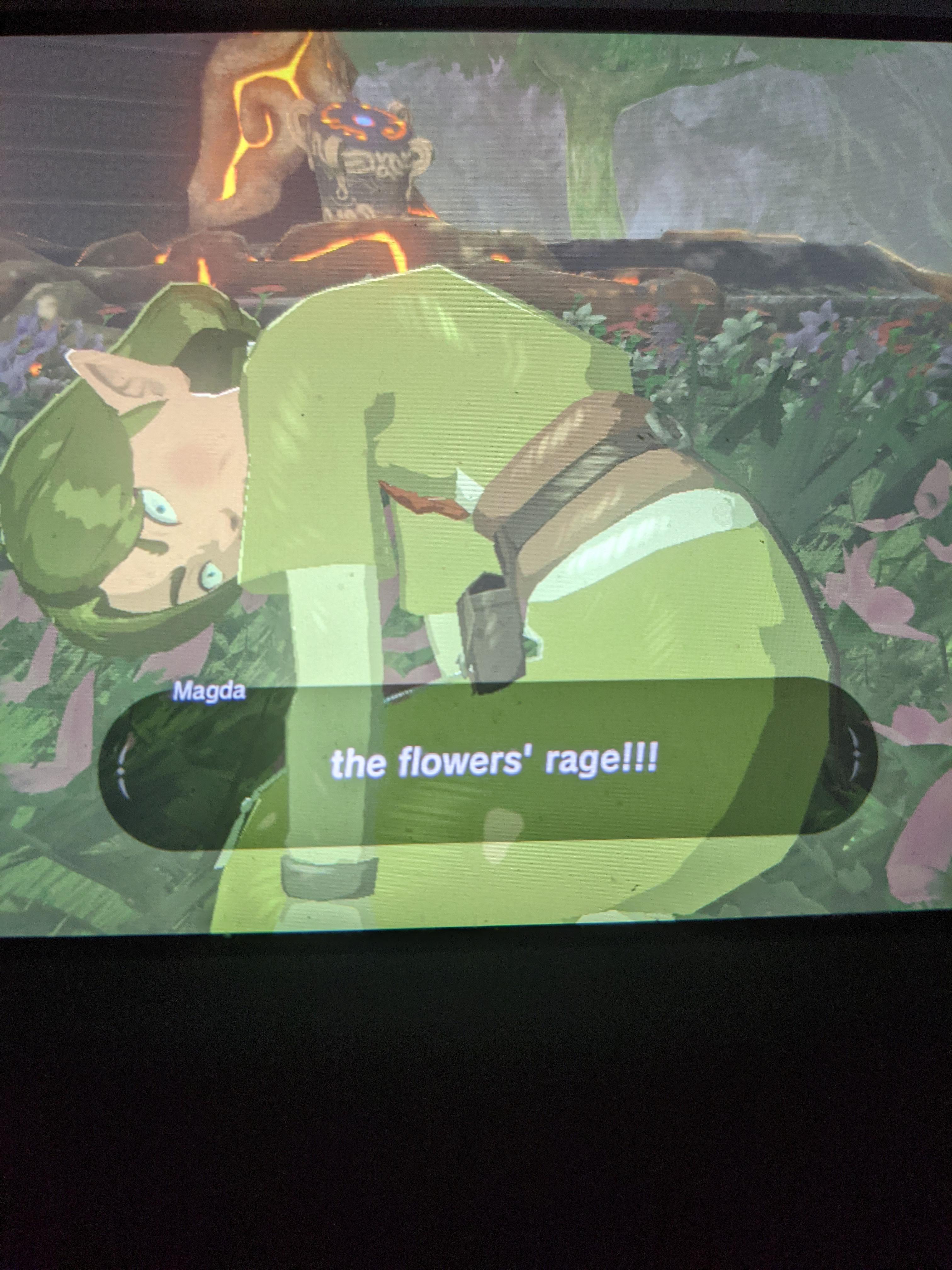 Man flowerblite ganon is hard r/Breath_of_the_Wild