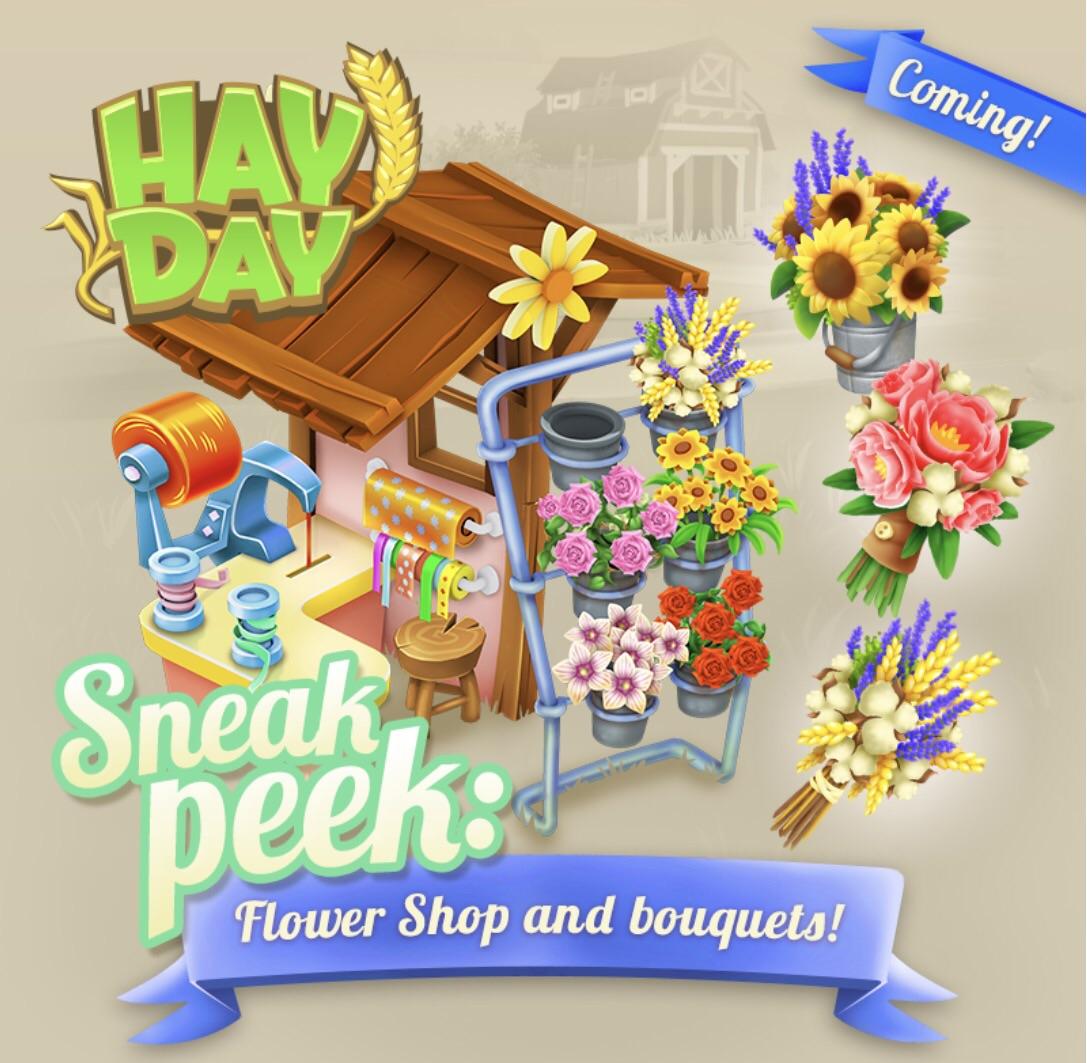 How Much Is The Flower Shop In Hay Day Shop Poin