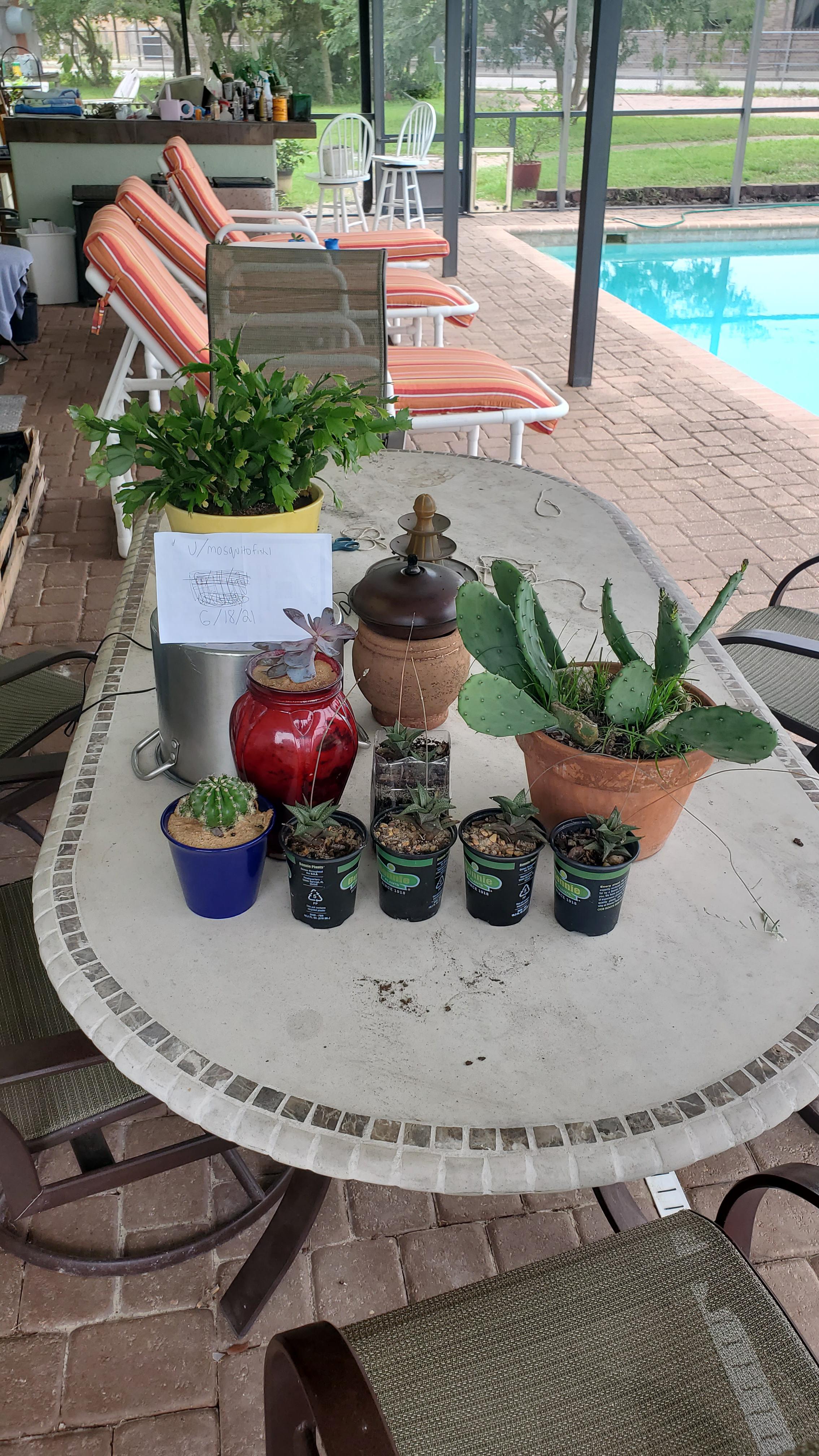 I'm a plant person who likes rocks, maybe you're a rock person who