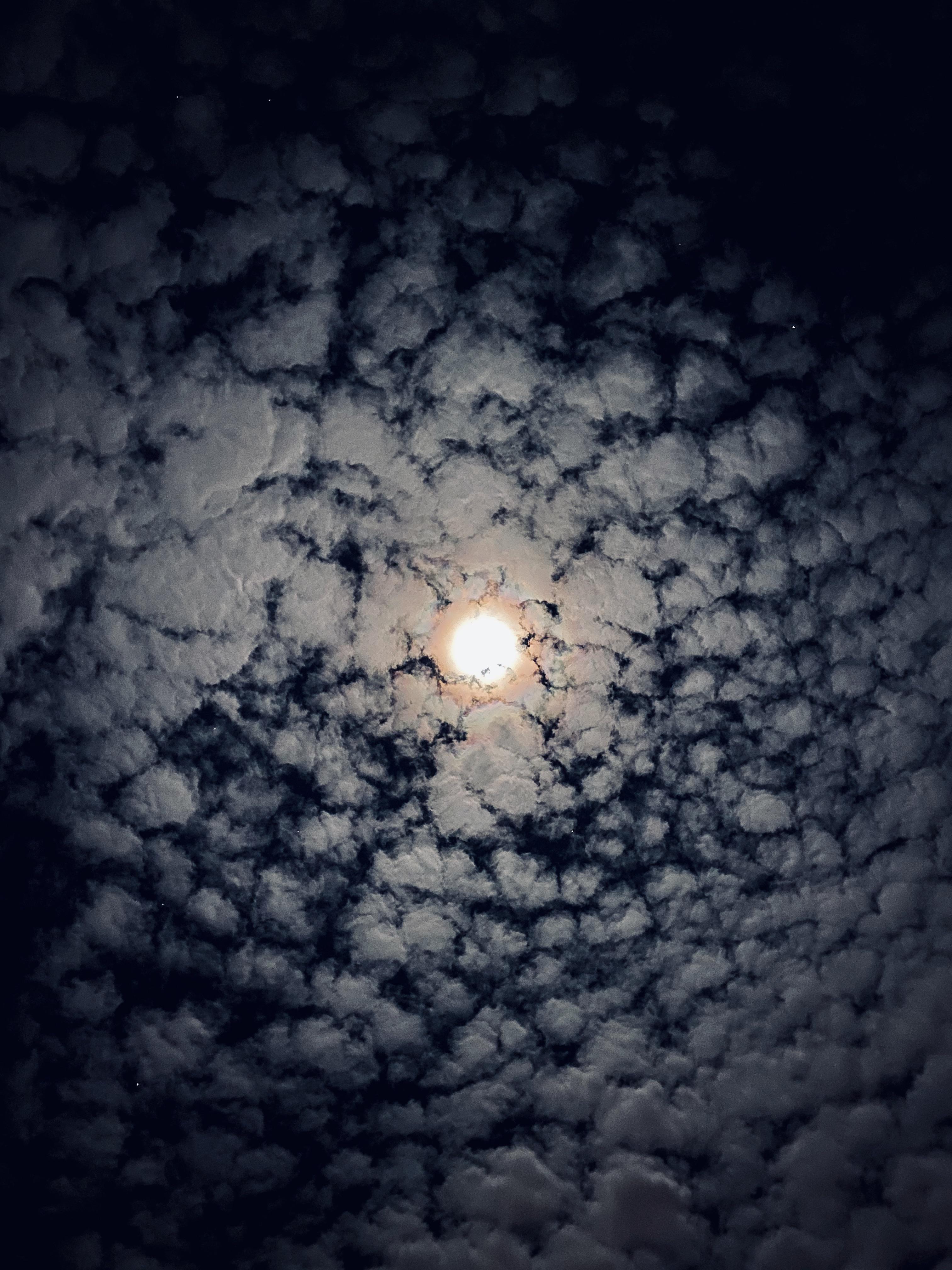 The trippy sky right now. Taken from an iPhone 11. sandiego