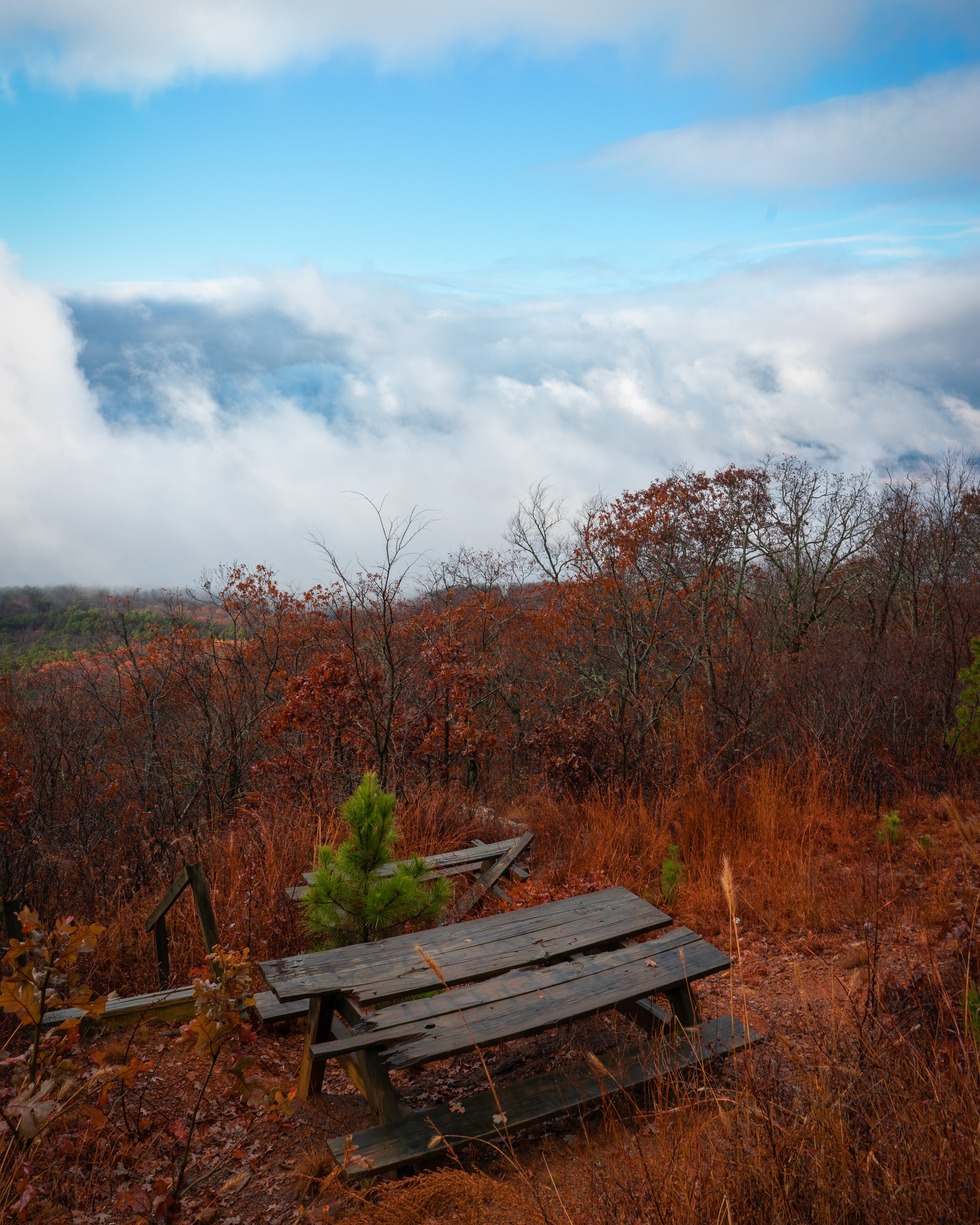 Top 101+ Wallpaper Oak Mountain State Park Campsite Photos Stunning