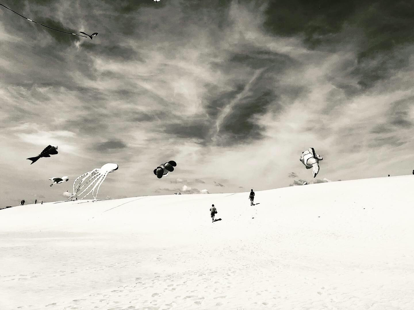 Jockey’s Ridge State Park Rogallo Kite Festival ‘19. My wife and