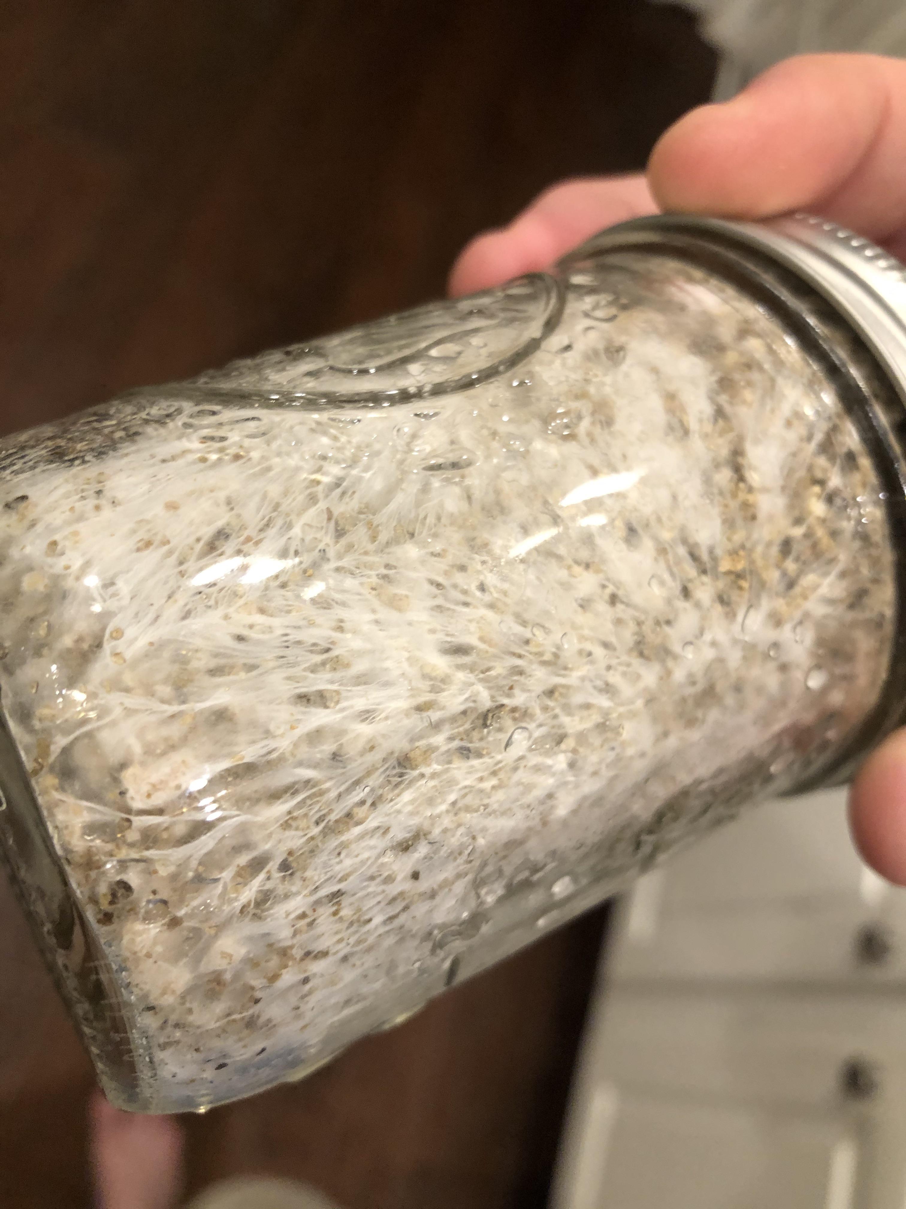 [actives] ready to birth but waiting on supplies. Switching from PF tek