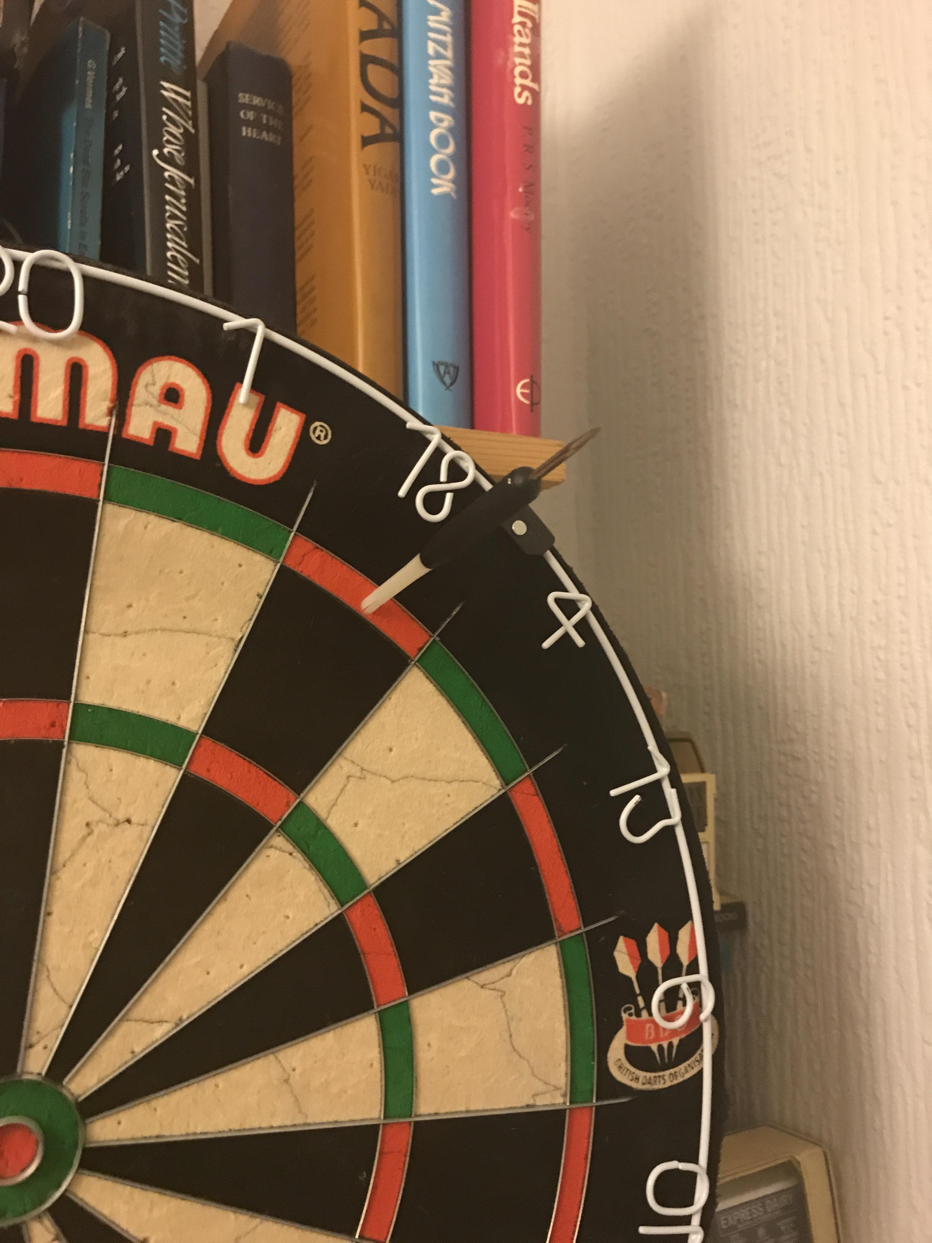 I threw a dart that landed backwards, into the double 18. r