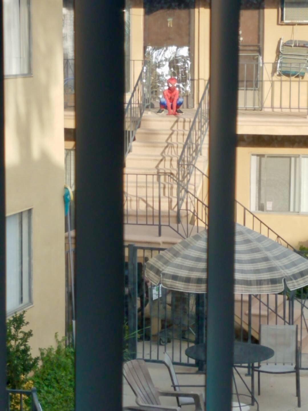 This entire apartment complex is safe now. Photo credit to my boyfriend