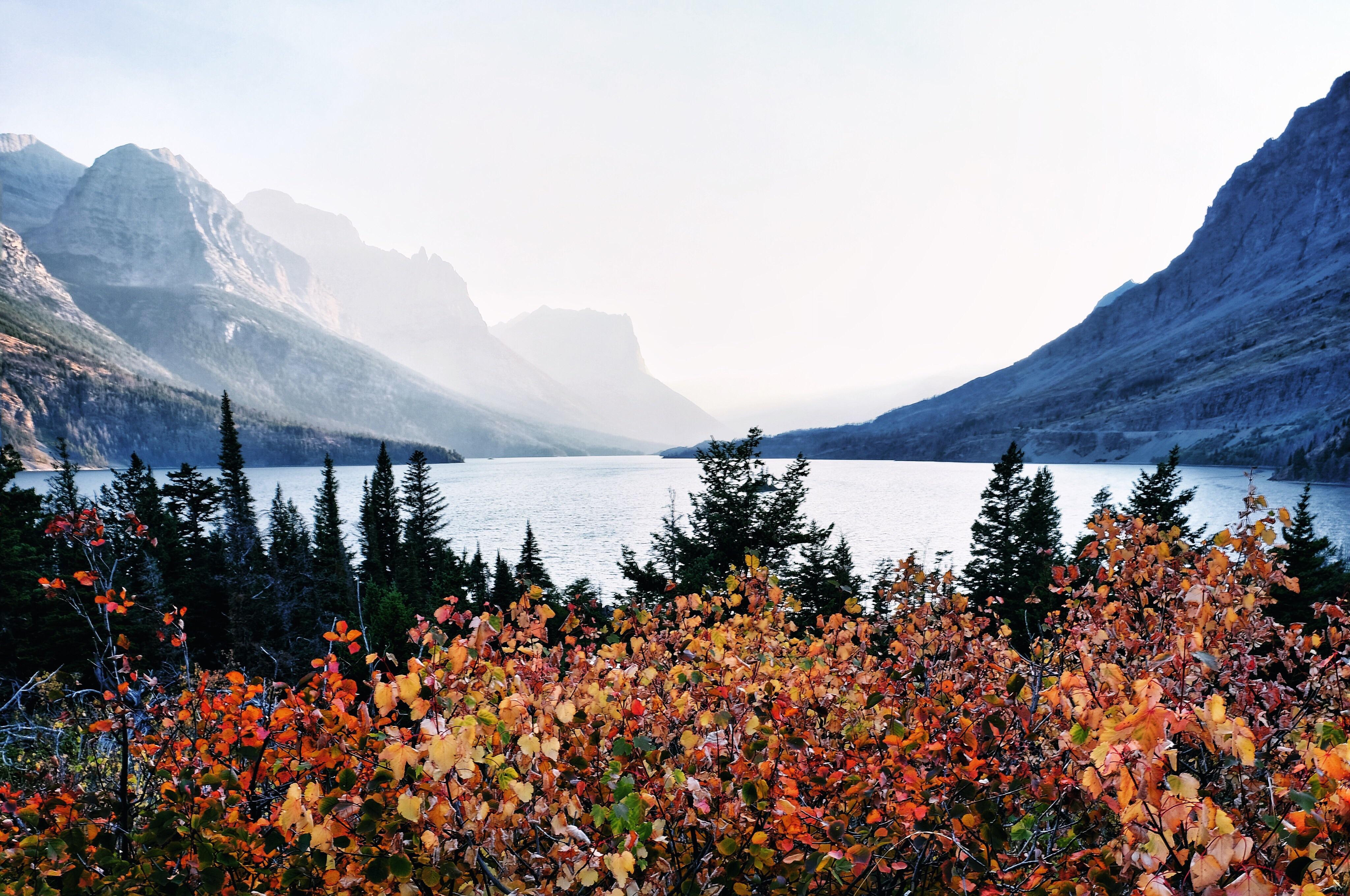 Early fall colors at Saint Mary Lake in Glacier National Park, Montana