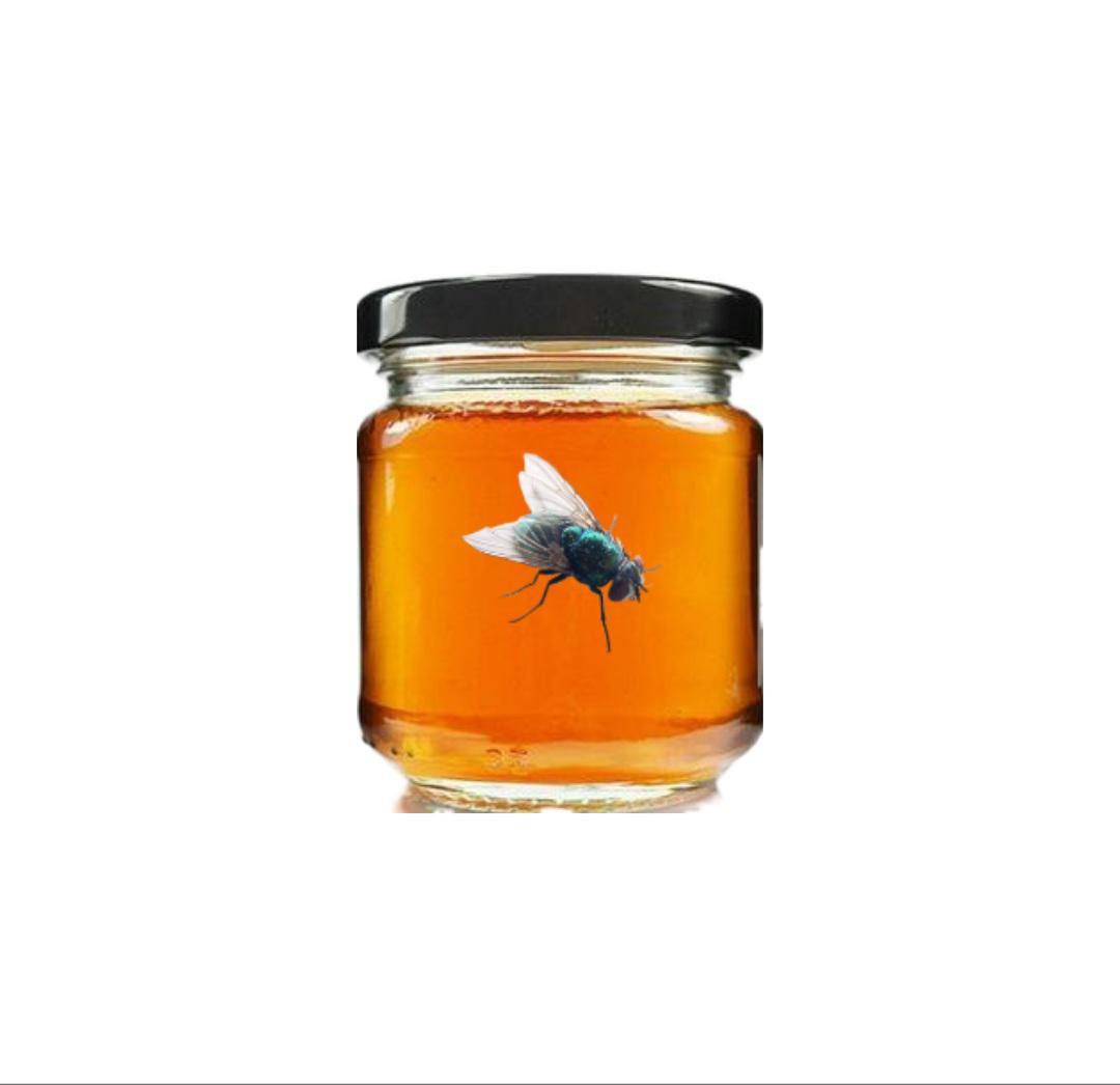 You've heard of trout yogurt, now get ready for... r/earthbound