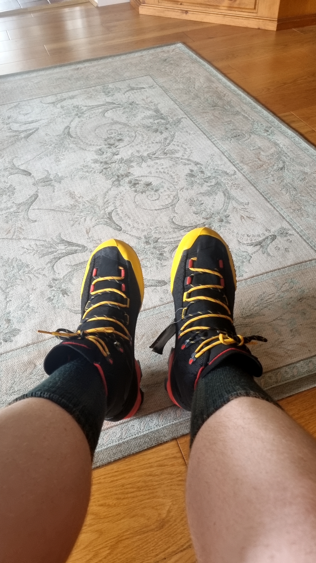 Picked up a pair of La Sportiva Aequilibrium ST GTX boots for some