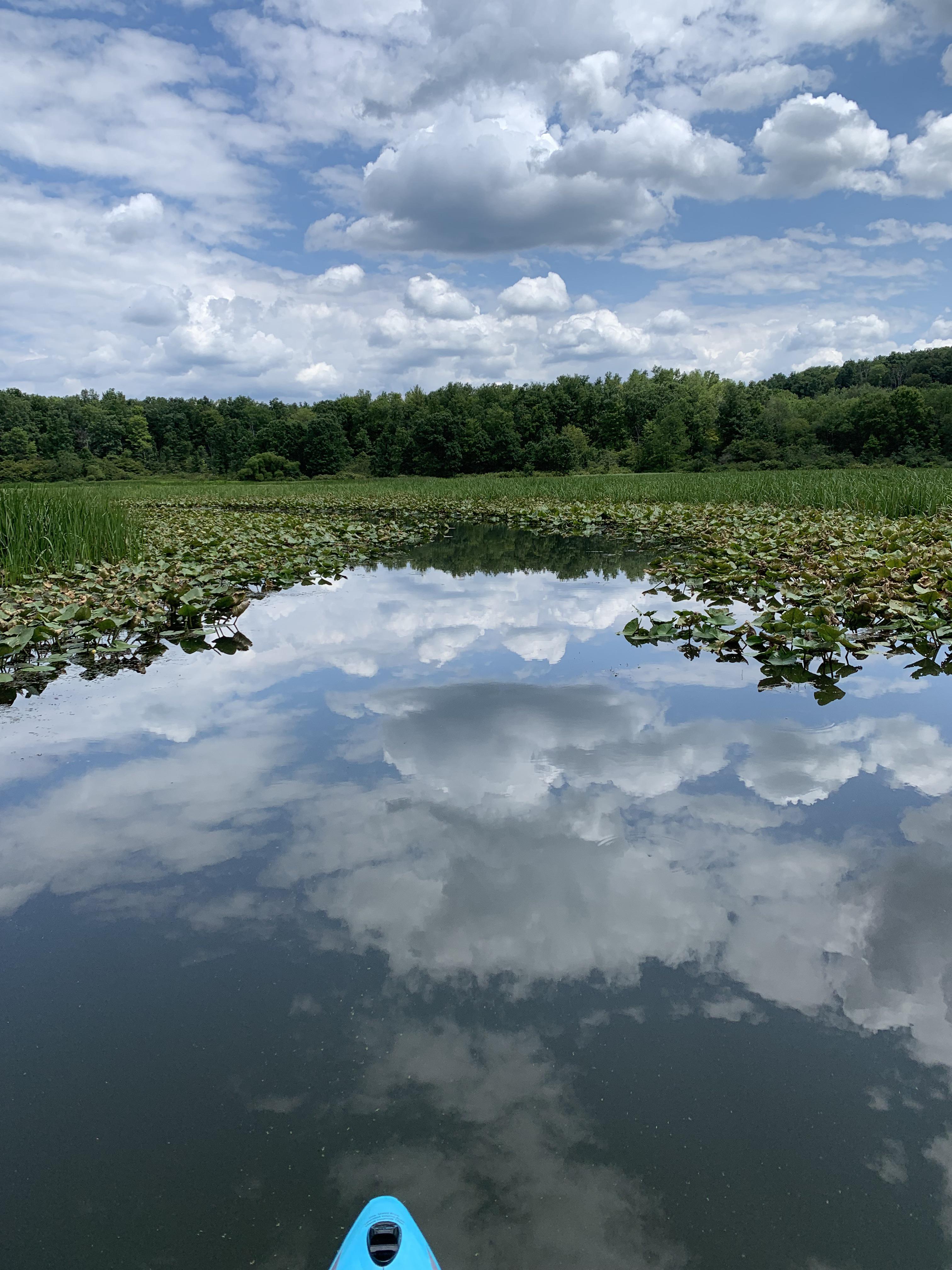 Prince Gallitzin State Park, PA r/scenery