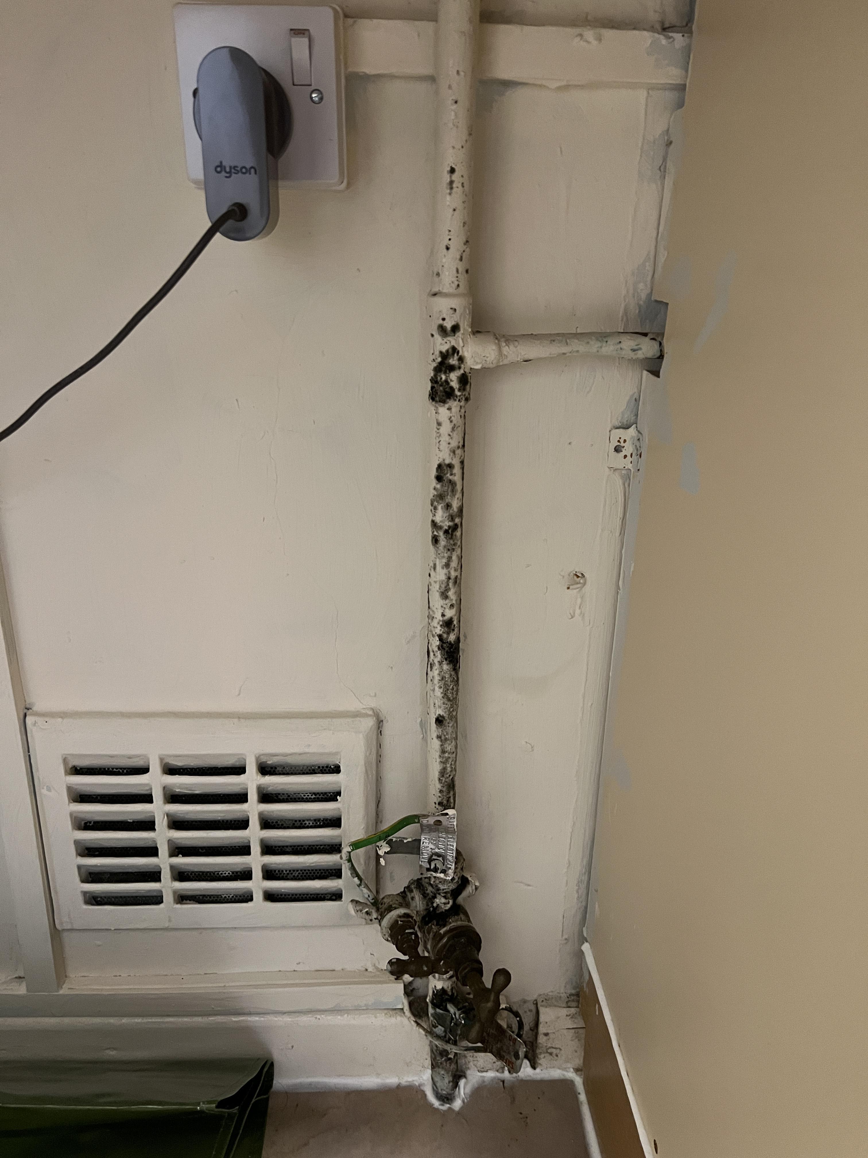 Cold water pipes in bathroom and kitchen keep growing mould. Should I
