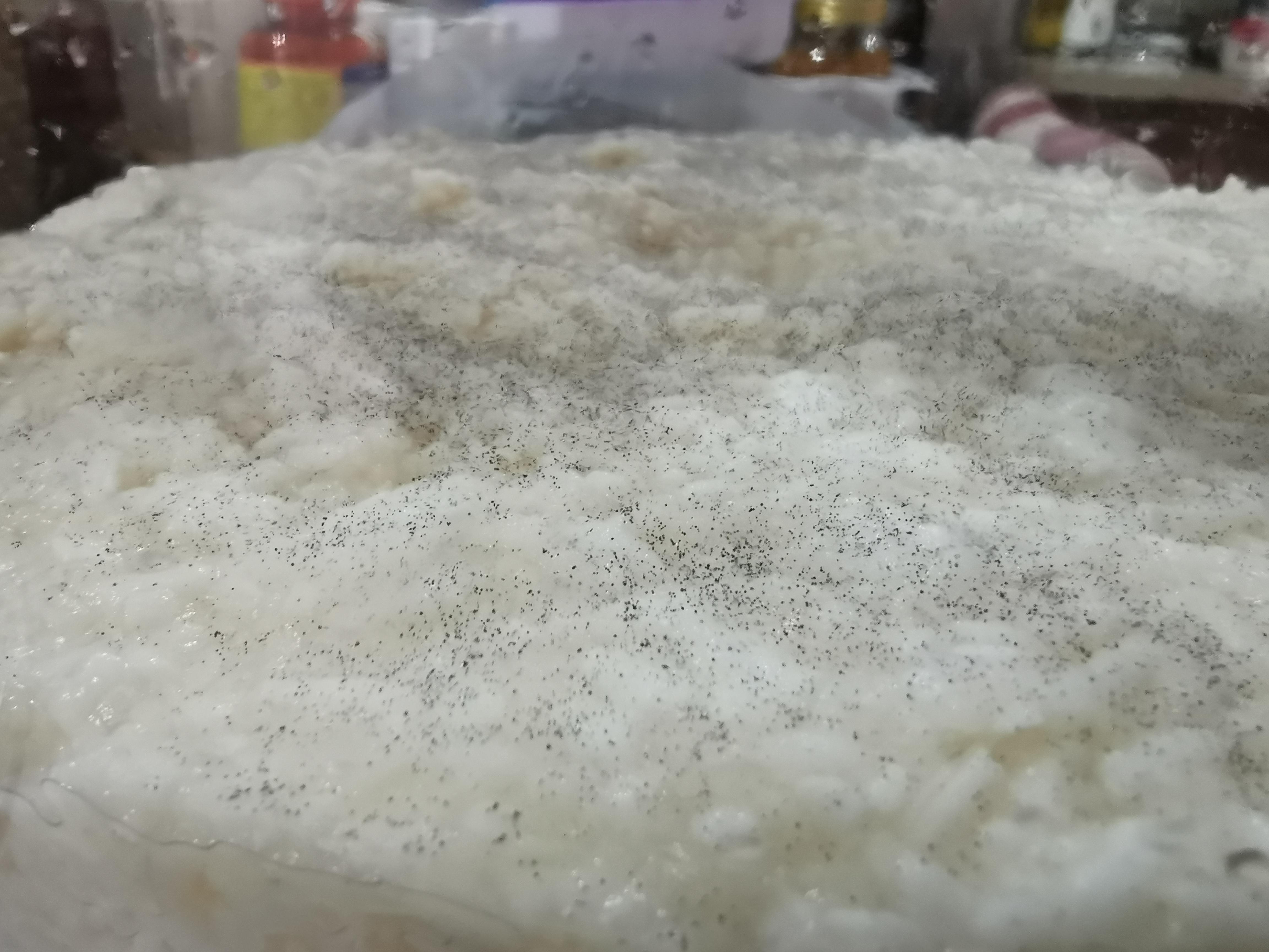 Black mold spots on Day 2 Is my rice wine OK? r/fermentation