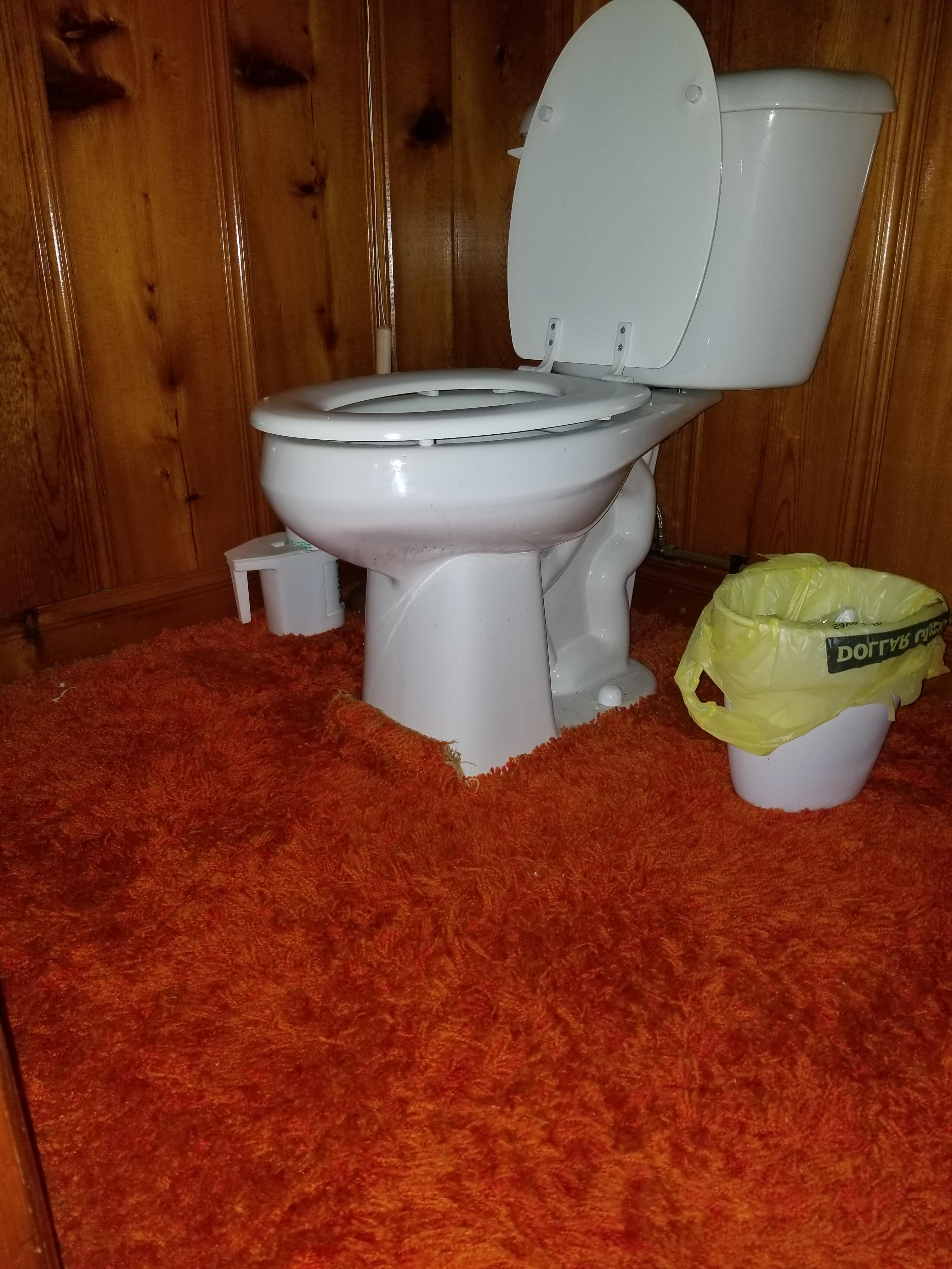 I saw the carpeted bathroom and raise you shag carpeting in a bathroom